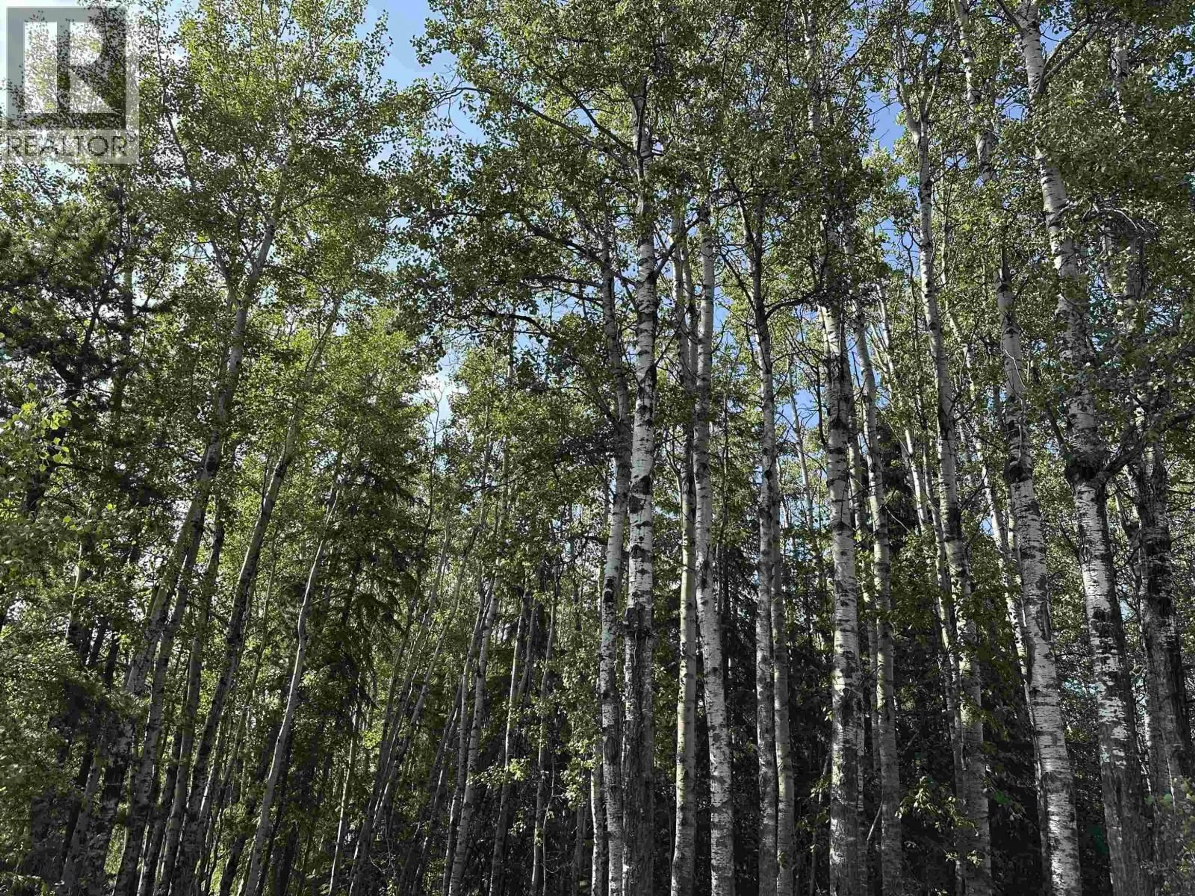 Blurry image for 4295 BERYL PRAIRIE ROAD, Hudsons Hope British Columbia V0C1V0