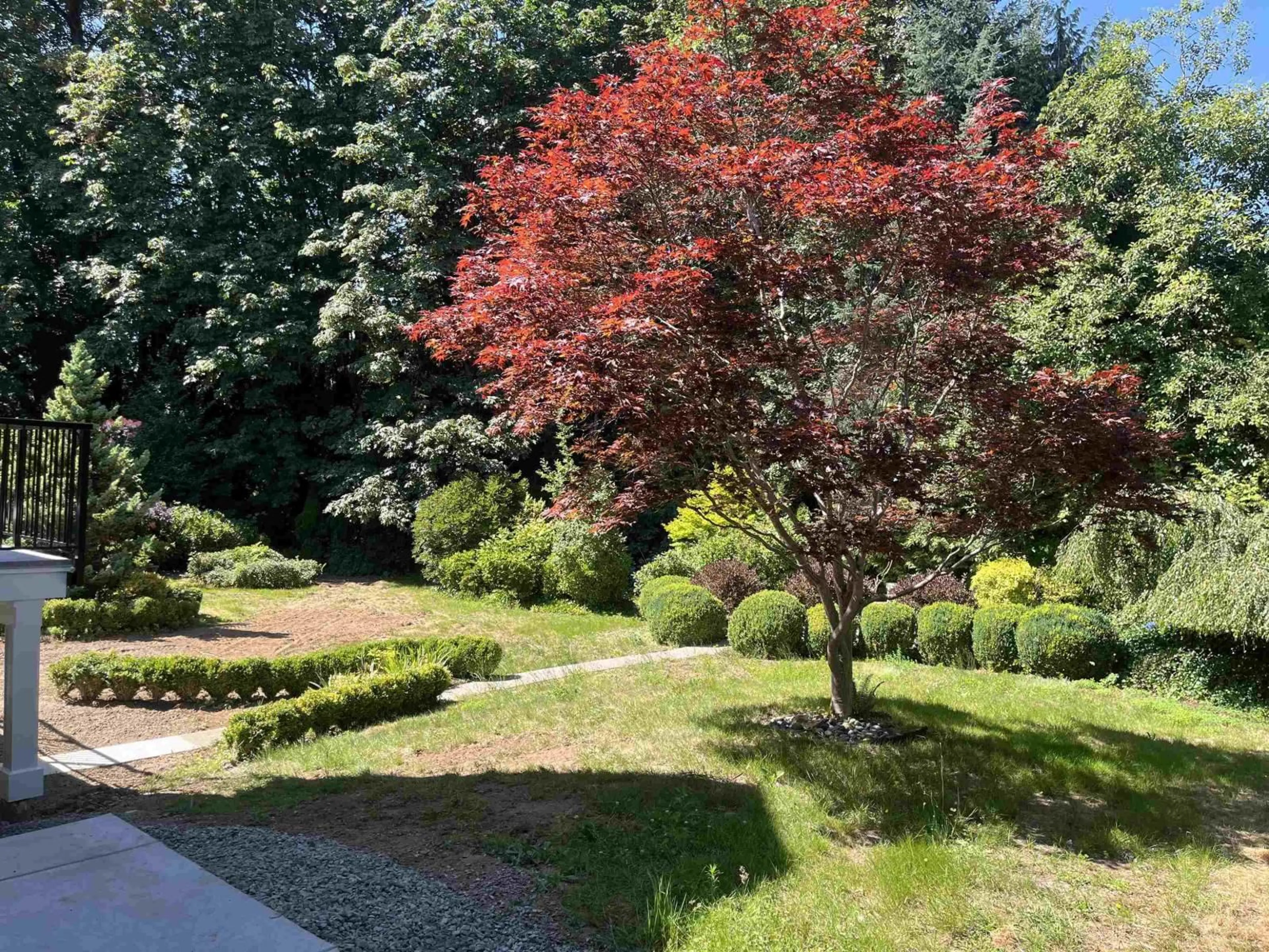 A pic from outside/outdoor area/front of a property/back of a property/a pic from drone, forest/trees view for 8336 MILLER CRESCENT, Mission British Columbia V2V6H7