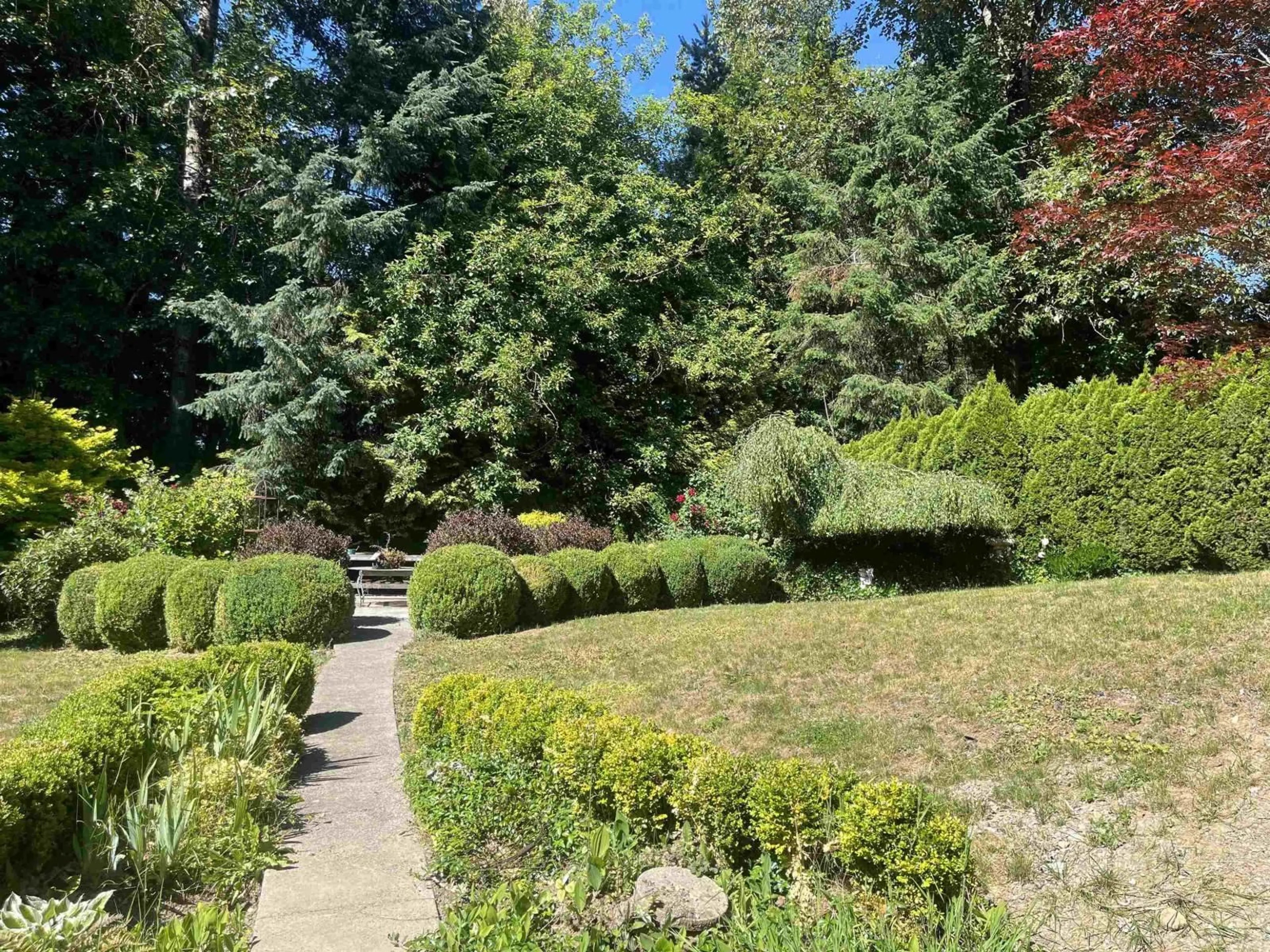A pic from outside/outdoor area/front of a property/back of a property/a pic from drone, forest/trees view for 8336 MILLER CRESCENT, Mission British Columbia V2V6H7