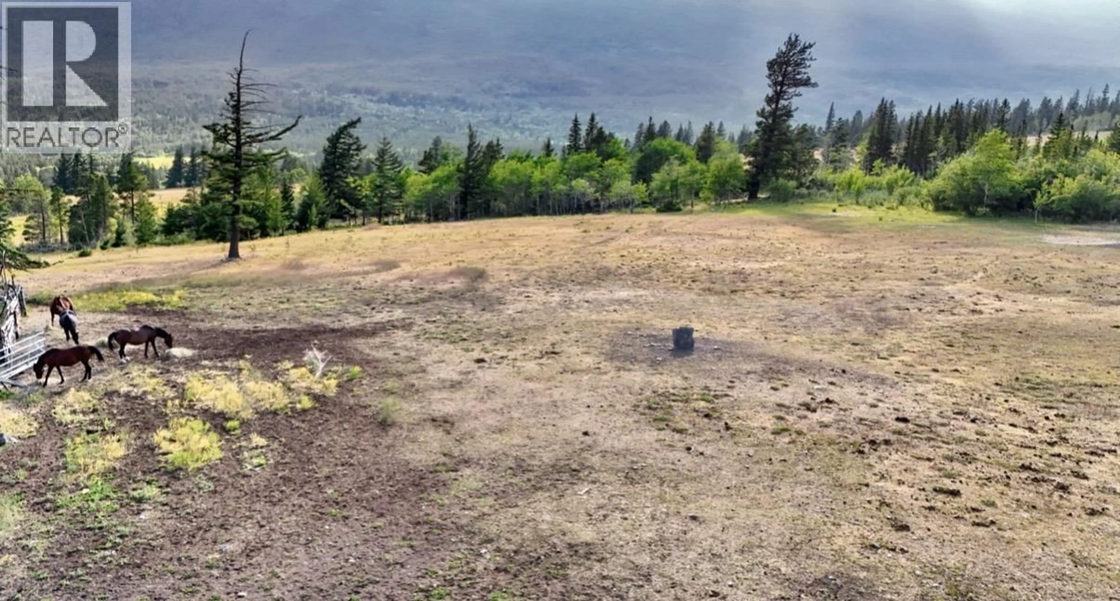 A pic from outside/outdoor area/front of a property/back of a property/a pic from drone, mountain view for 7091 TATLAYOKO ROAD, Williams Lake British Columbia V0L1W0