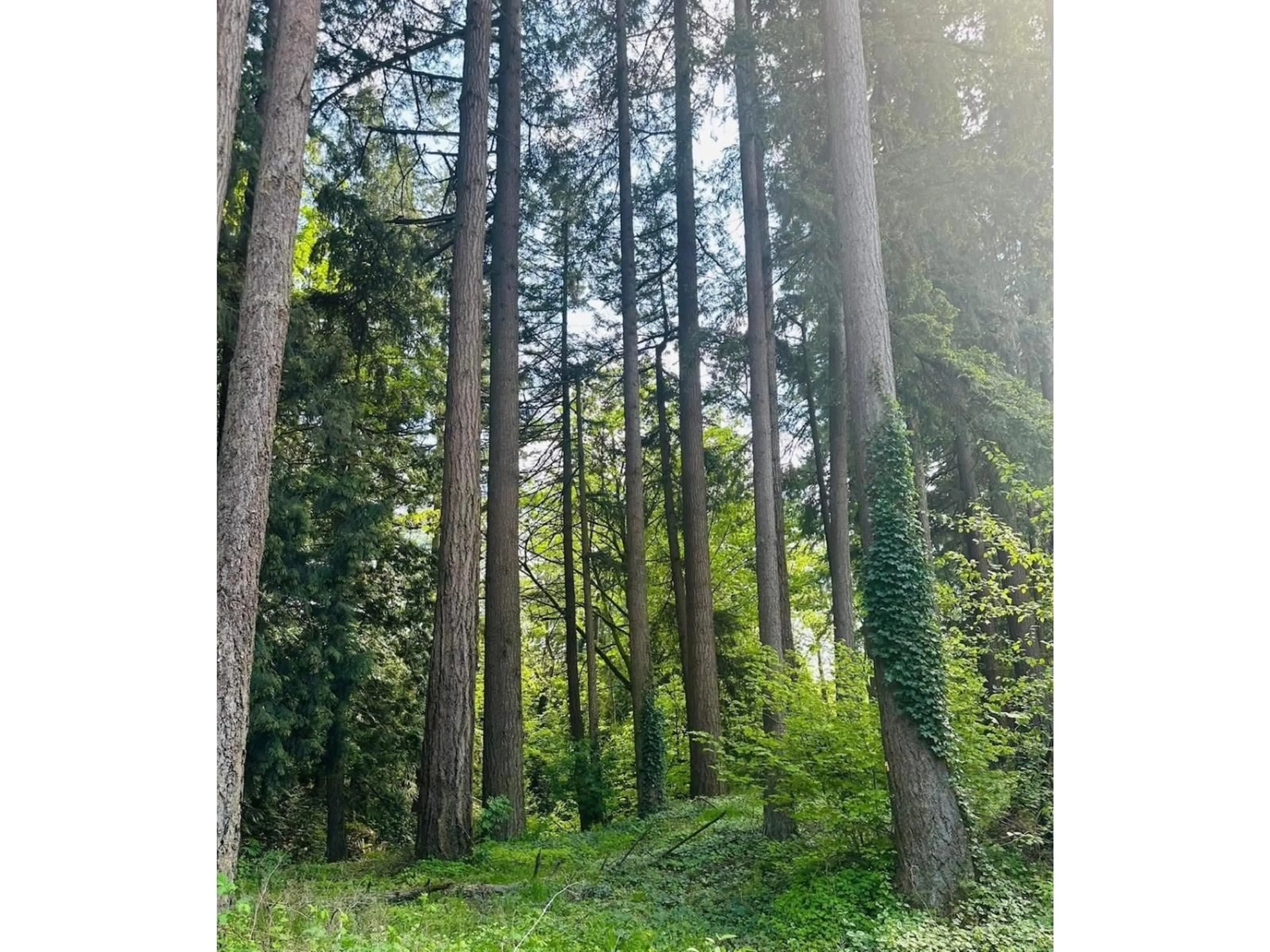 Blurry image for 414 - 3438 146A STREET, Surrey British Columbia V0V0N0