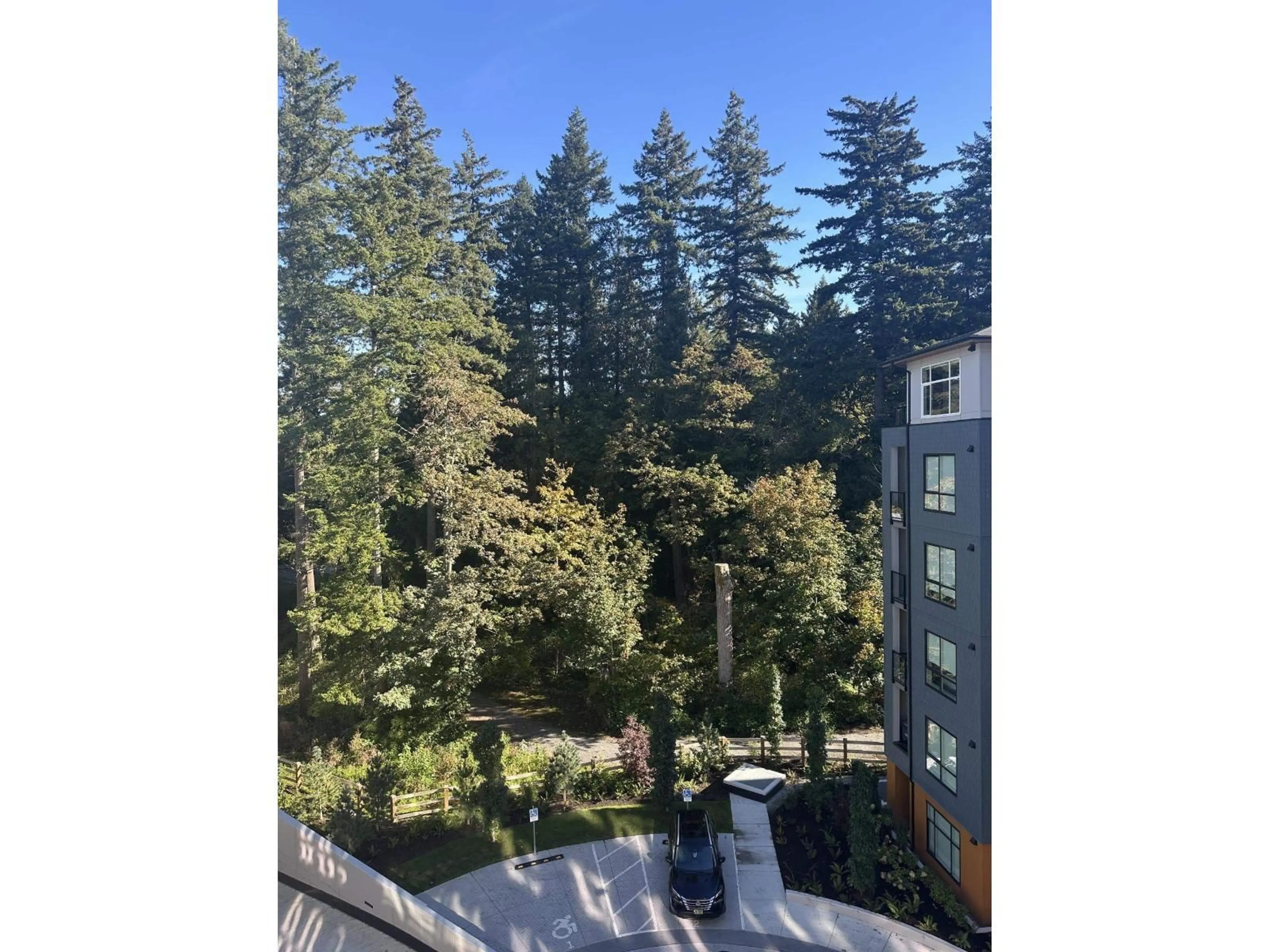 A pic from outside/outdoor area/front of a property/back of a property/a pic from drone, forest/trees view for 414 - 3438 146A STREET, Surrey British Columbia V0V0N0