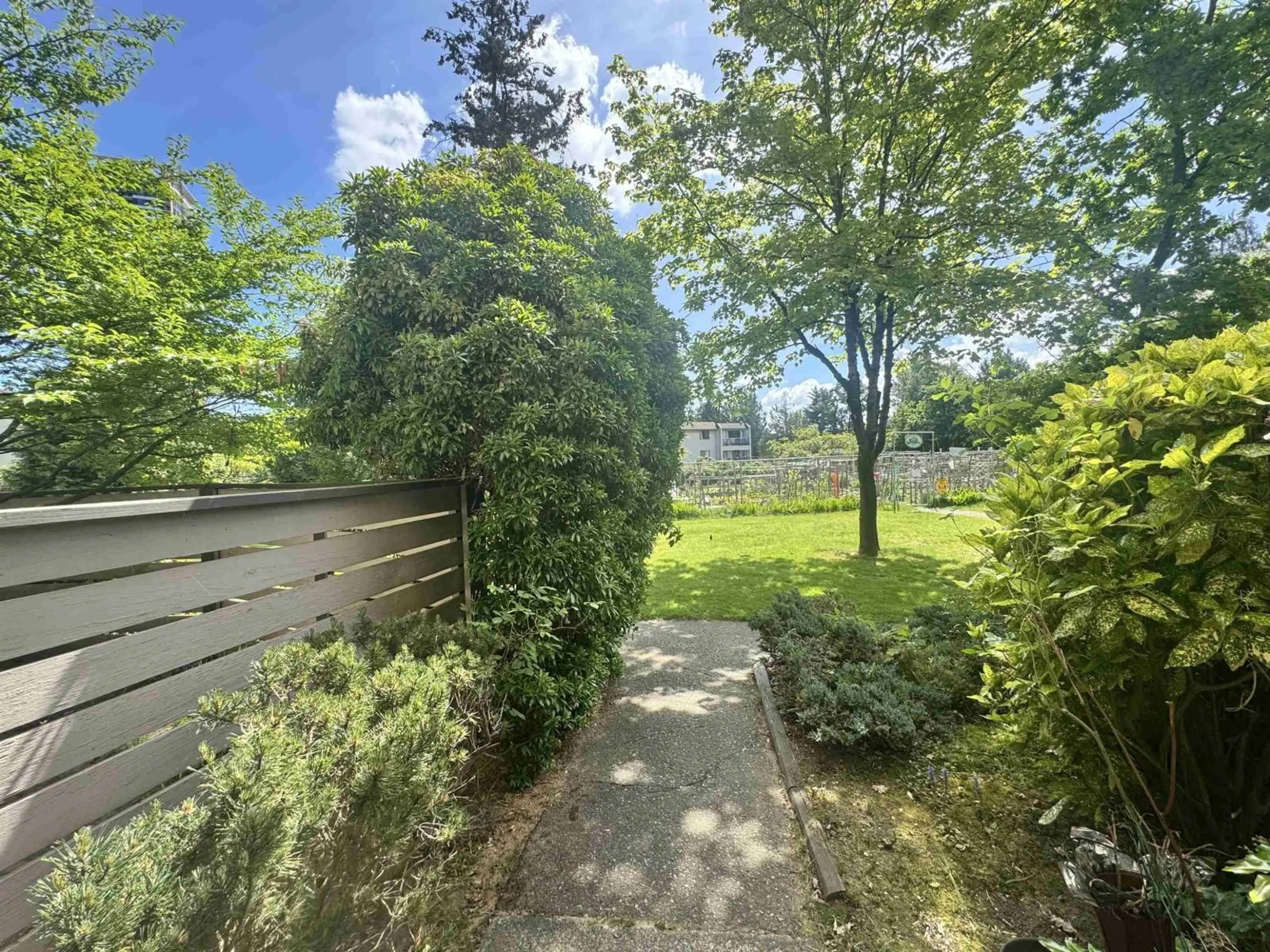 A pic from outside/outdoor area/front of a property/back of a property/a pic from drone, forest/trees view for 10582 HOLLY PARK LANE, Surrey British Columbia V3R6X9