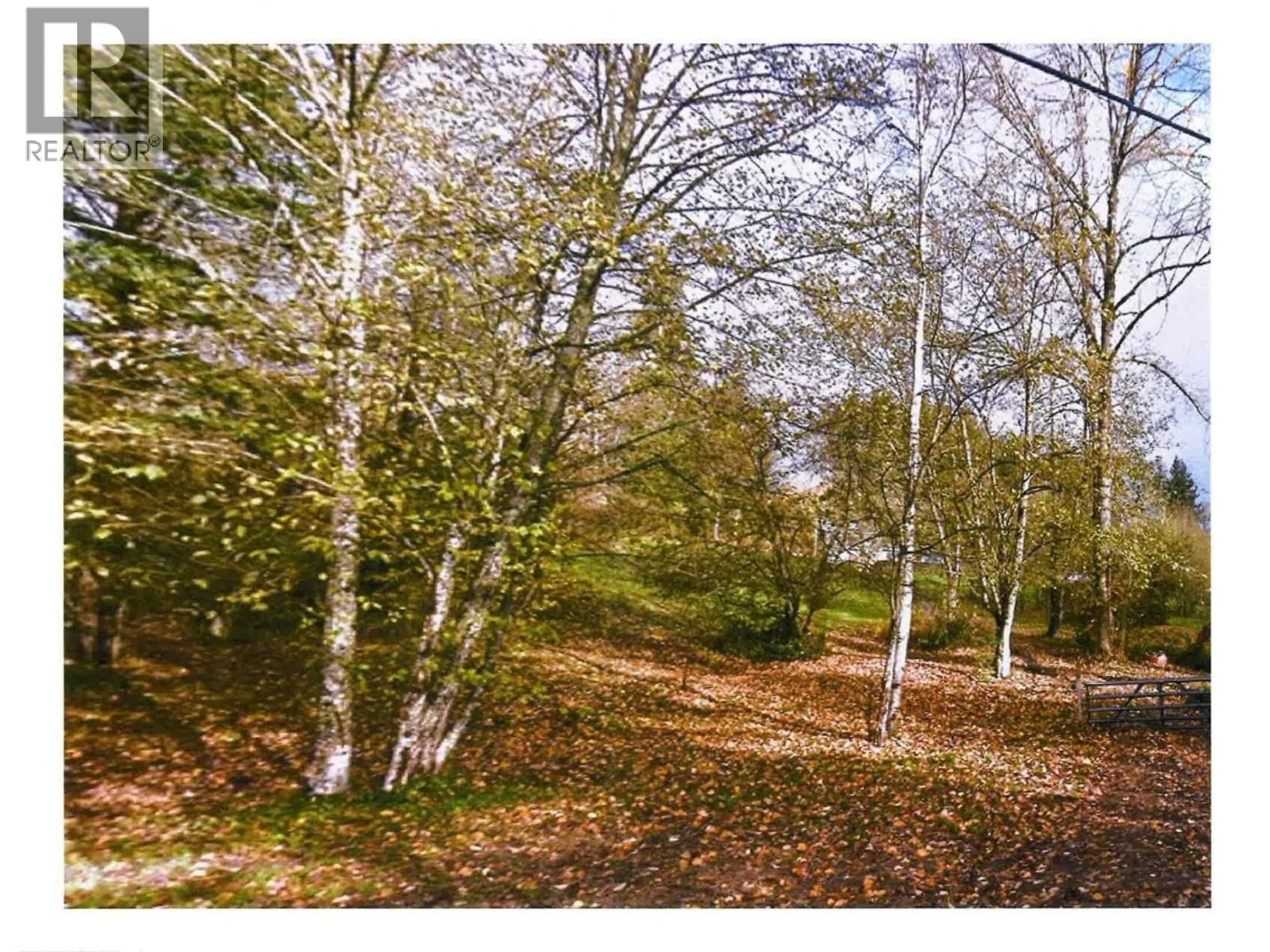 Blurry image for 26713 96 AVENUE, Maple Ridge British Columbia V2W1K2