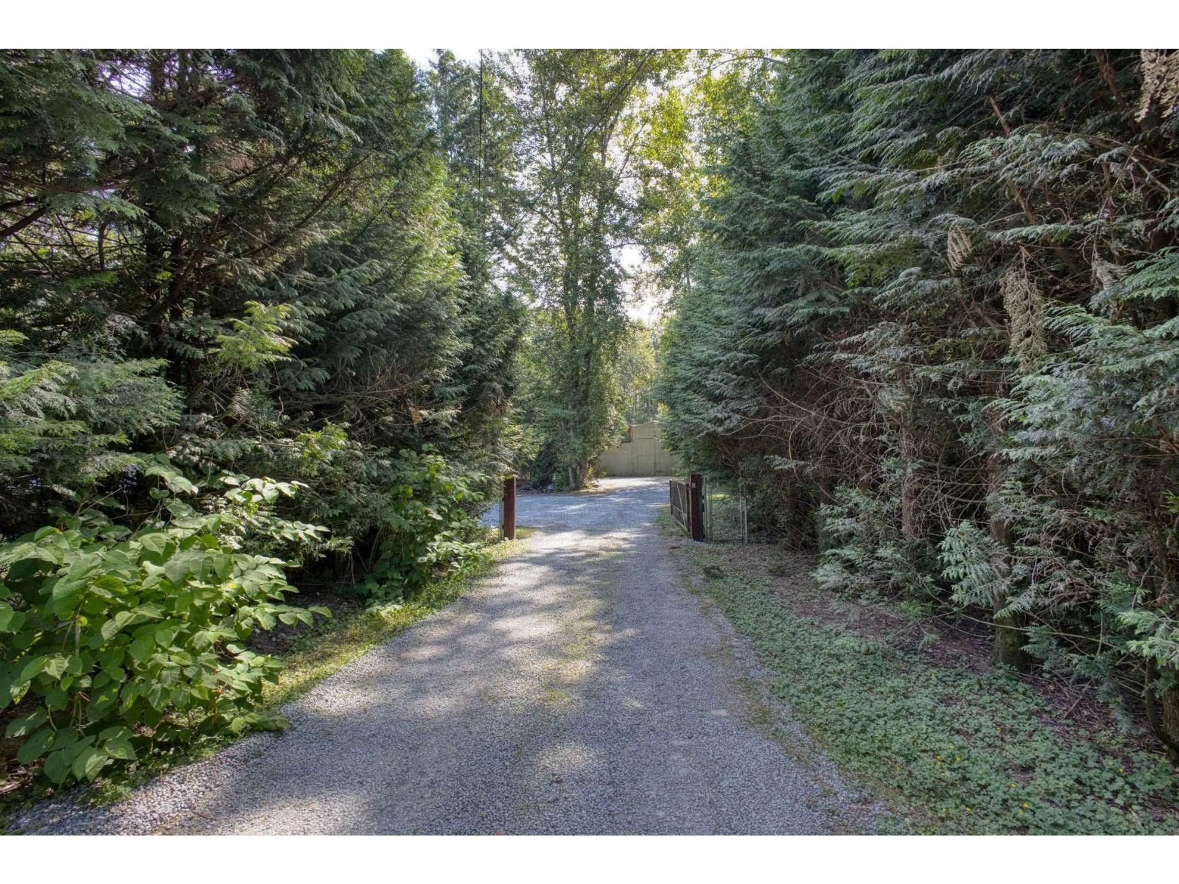 A pic from outside/outdoor area/front of a property/back of a property/a pic from drone, forest/trees view for 5860 256 STREET, Langley British Columbia V4W1J9