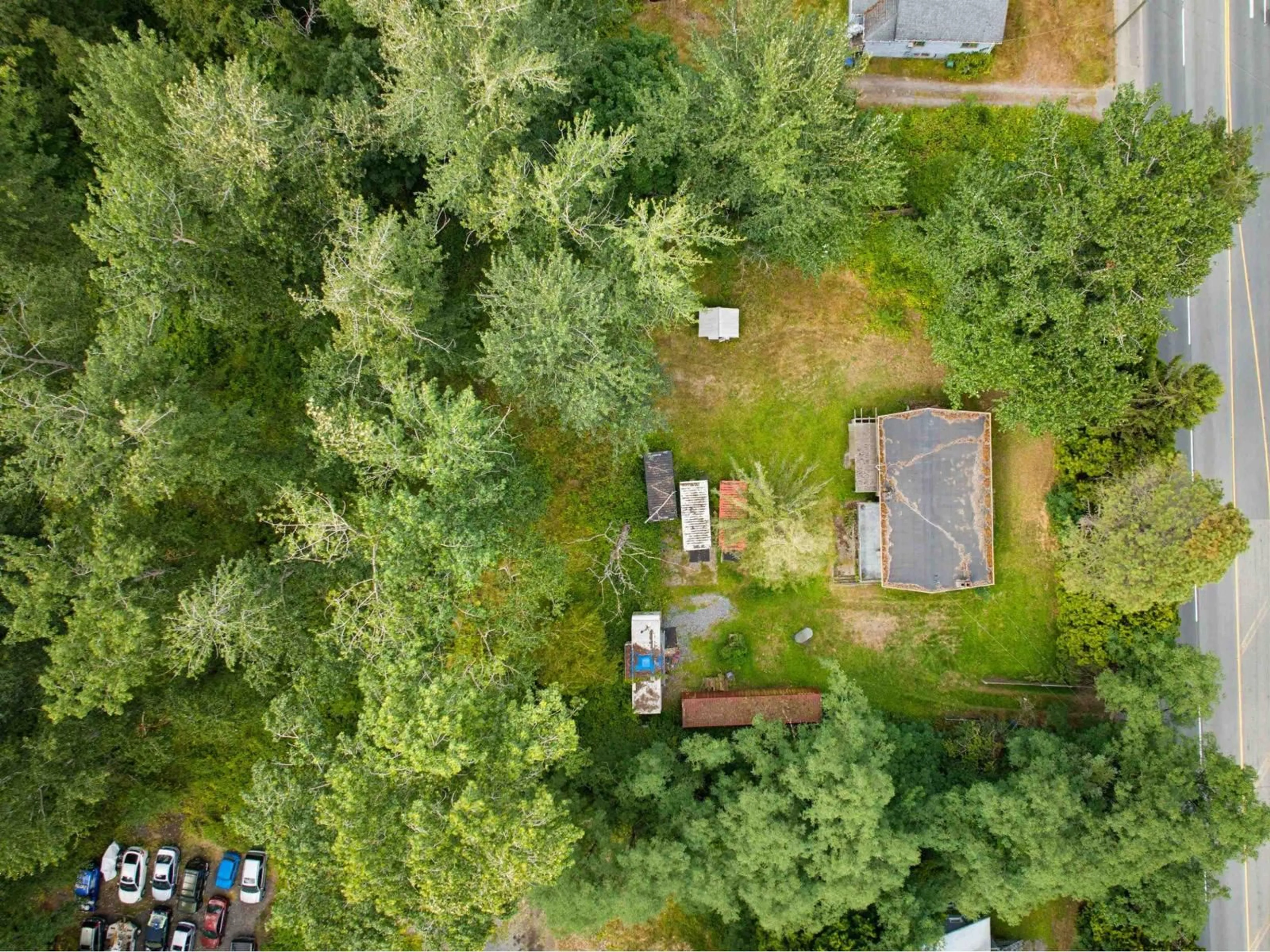 A pic from outside/outdoor area/front of a property/back of a property/a pic from drone, forest/trees view for 2355 176 STREET, Surrey British Columbia V3Z9W4