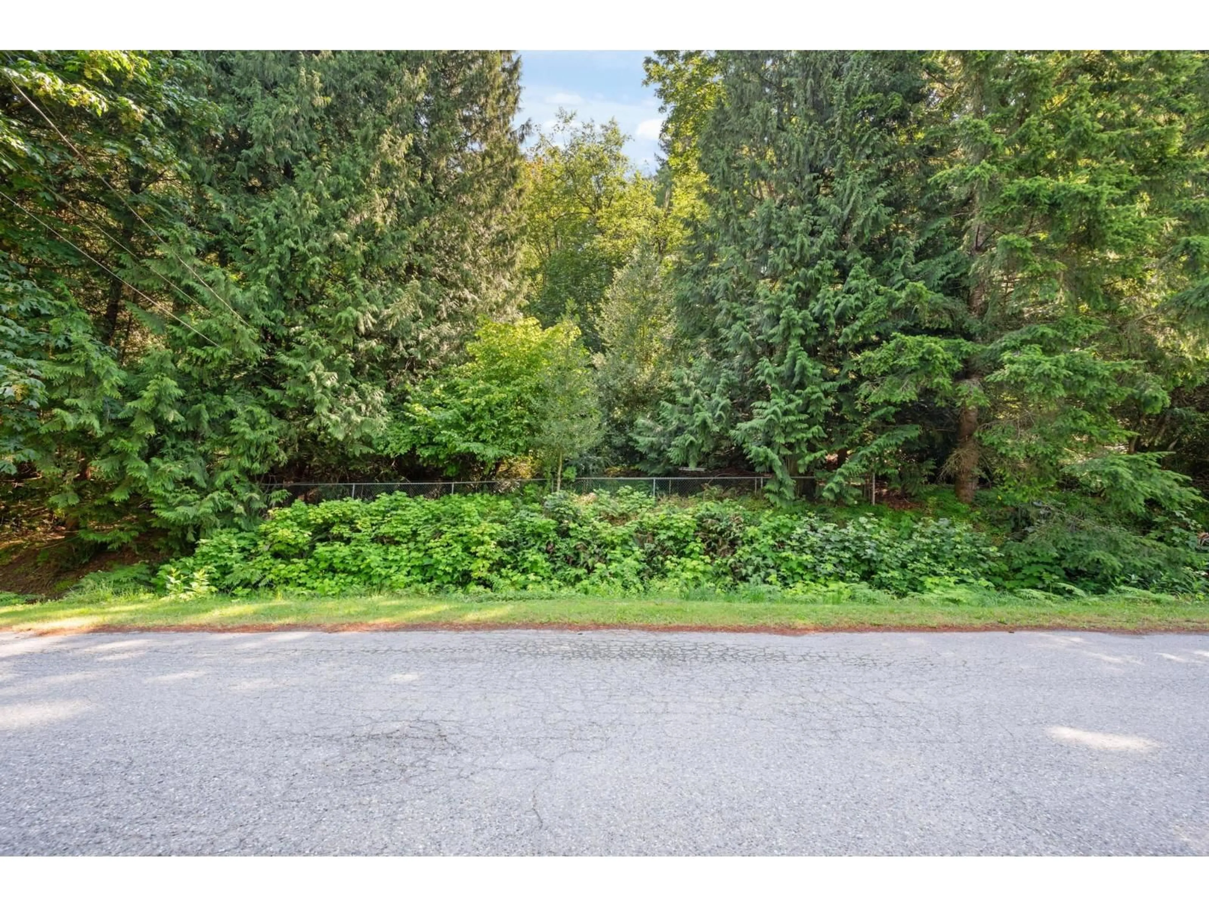 A pic from outside/outdoor area/front of a property/back of a property/a pic from drone, forest/trees view for 3680 VANCE ROAD, Cultus Lake British Columbia V2R5A6