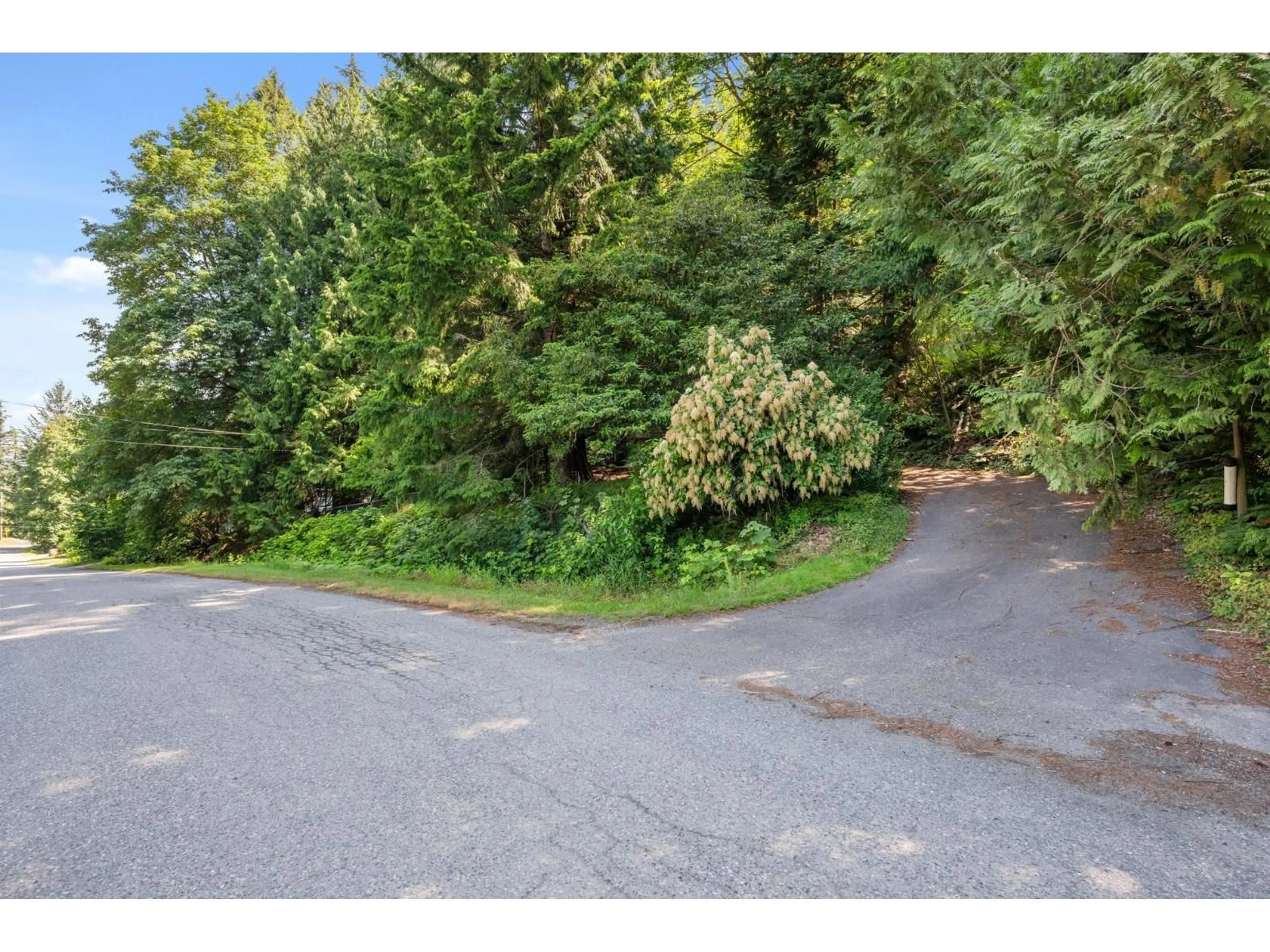 A pic from outside/outdoor area/front of a property/back of a property/a pic from drone, forest/trees view for 3680 VANCE ROAD, Cultus Lake British Columbia V2R5A6