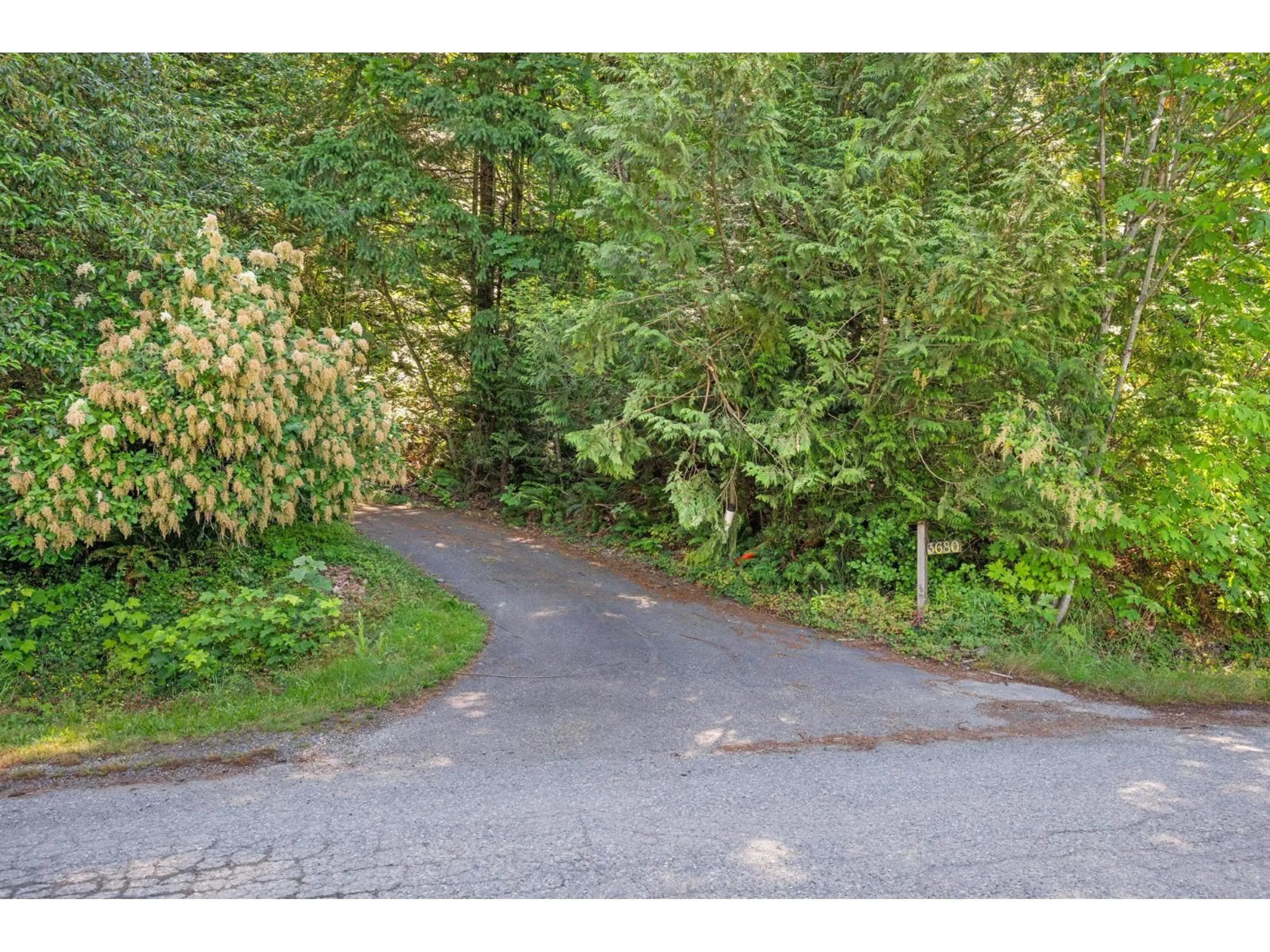 A pic from outside/outdoor area/front of a property/back of a property/a pic from drone, forest/trees view for 3680 VANCE ROAD, Cultus Lake British Columbia V2R5A6