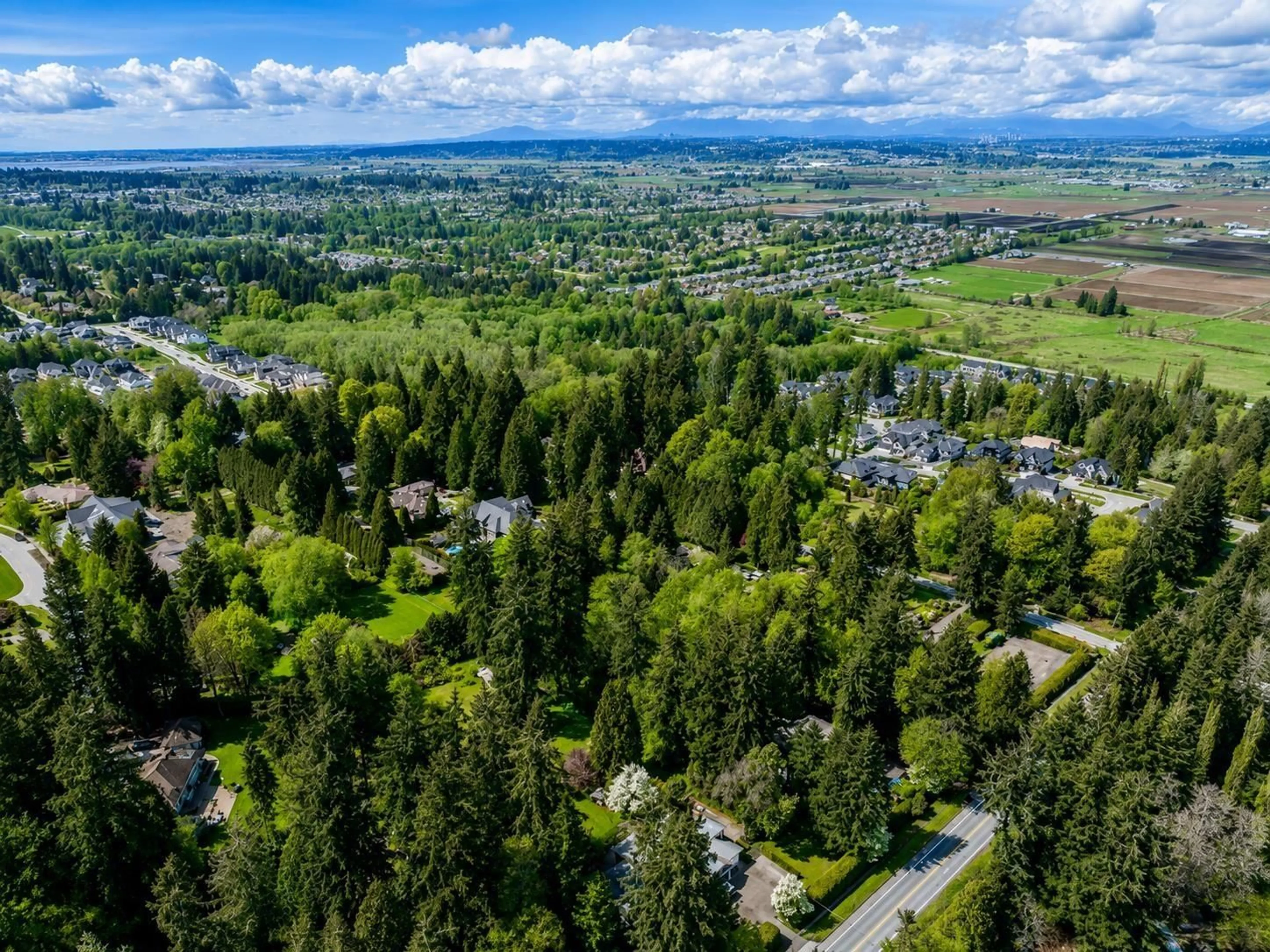 A pic from outside/outdoor area/front of a property/back of a property/a pic from drone, forest/trees view for 2875 168 STREET, Surrey British Columbia V3Z0A7