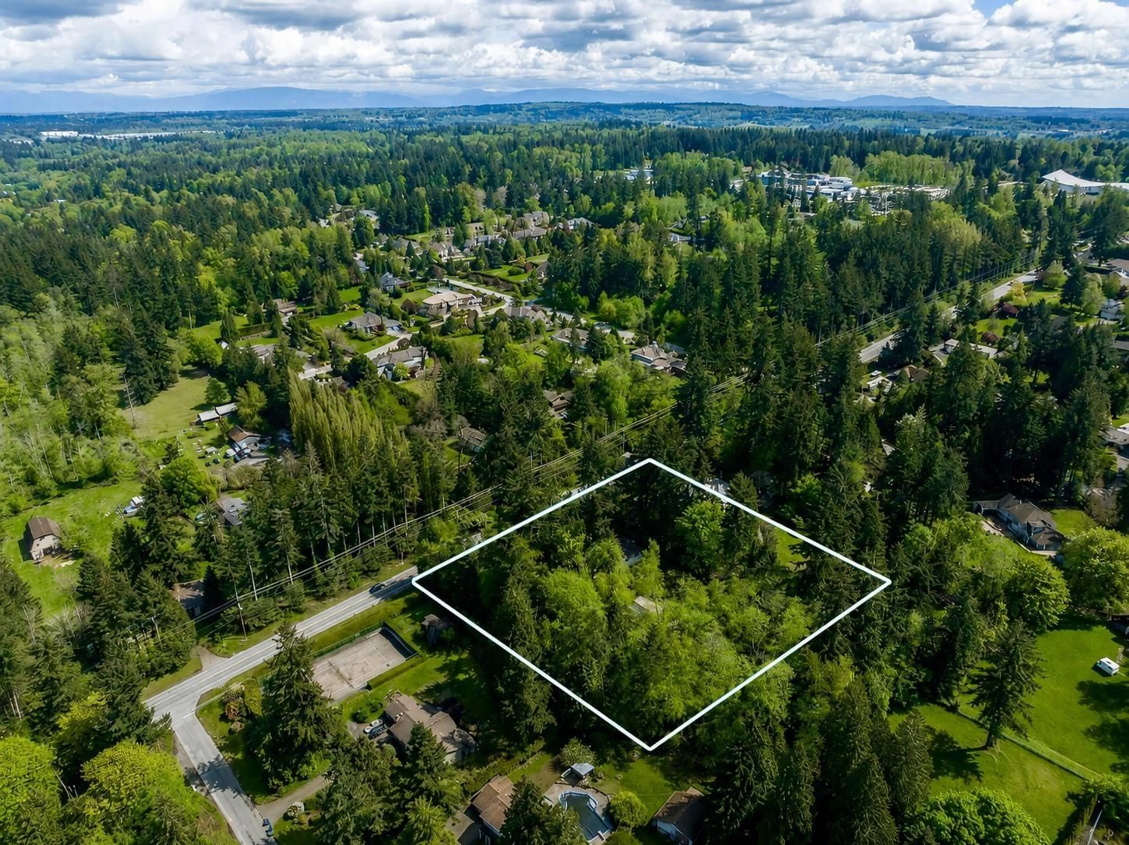 A pic from outside/outdoor area/front of a property/back of a property/a pic from drone, forest/trees view for 2875 168 STREET, Surrey British Columbia V3Z0A7
