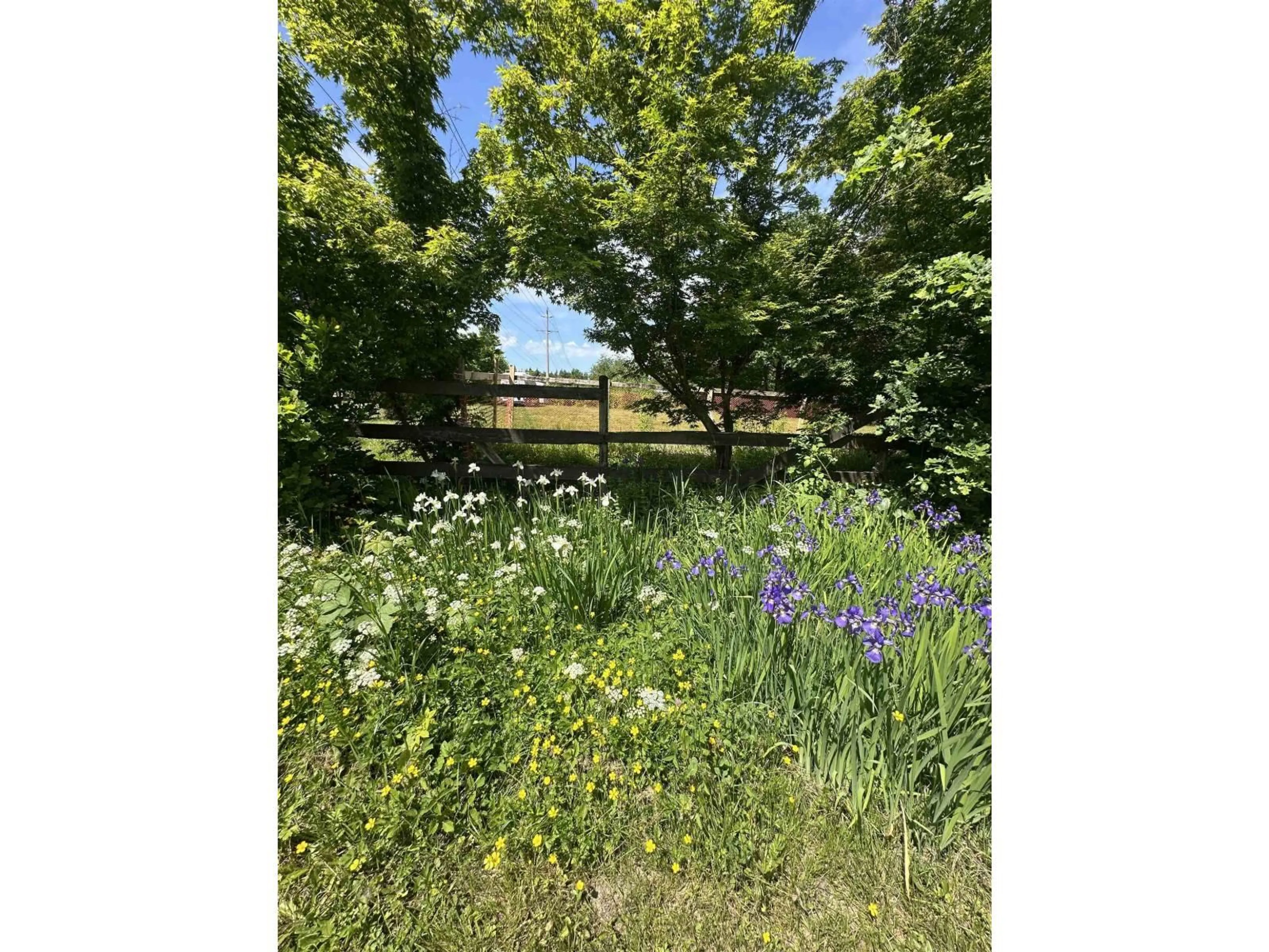 A pic from outside/outdoor area/front of a property/back of a property/a pic from drone, forest/trees view for LOT 1 ROYAL STREET, Langley British Columbia V1M2S1