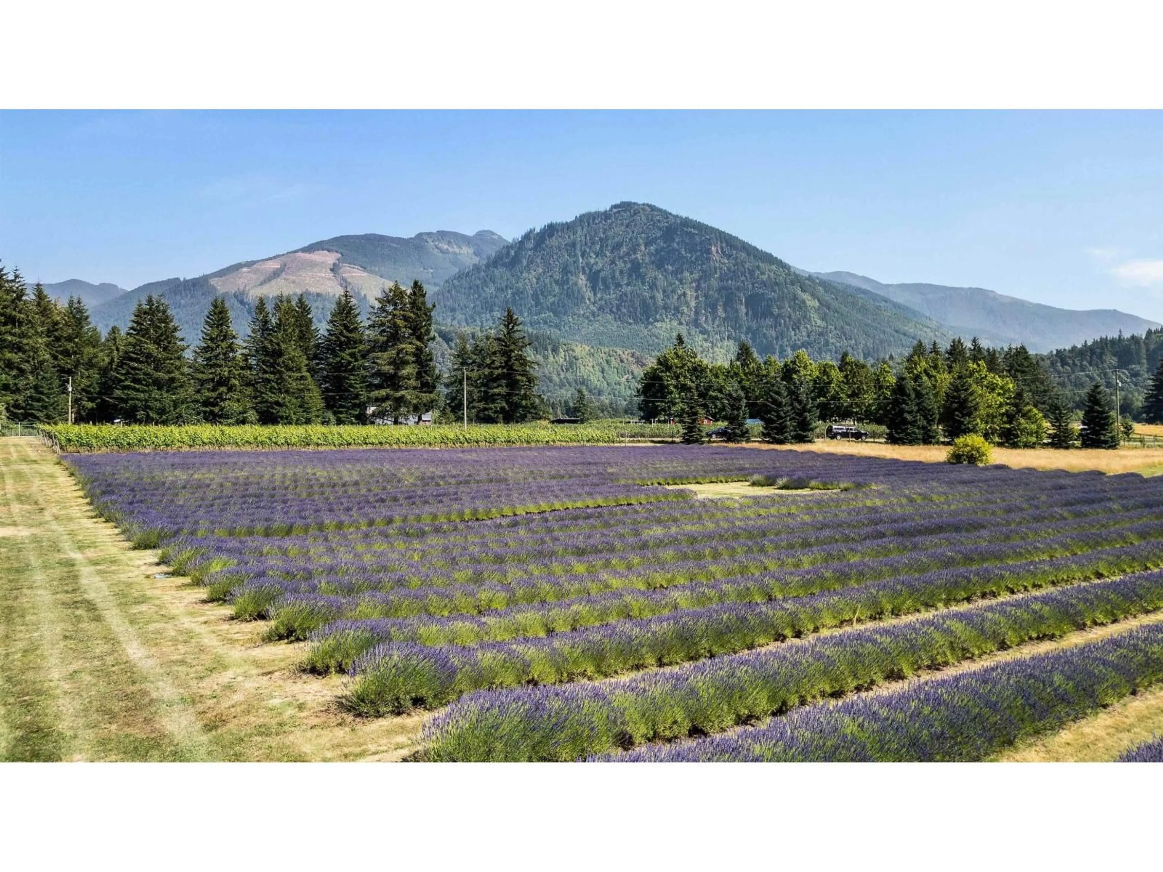 Unknown for 231 COLUMBIA VALLEY ROAD, Columbia Valley British Columbia V2R4X6