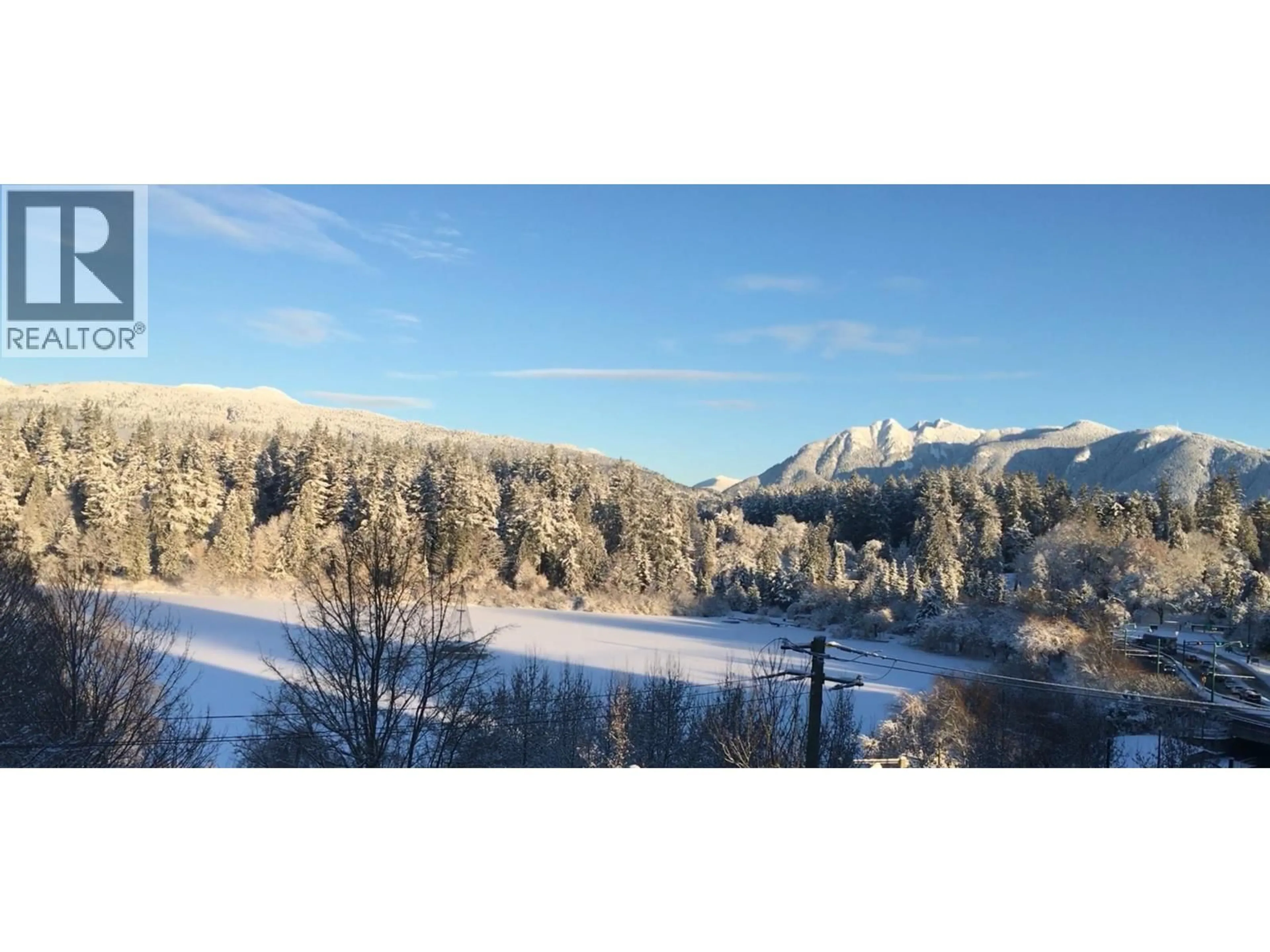 A pic from outside/outdoor area/front of a property/back of a property/a pic from drone, mountain view for 302 - 710 CHILCO STREET, Vancouver British Columbia V6G2P9