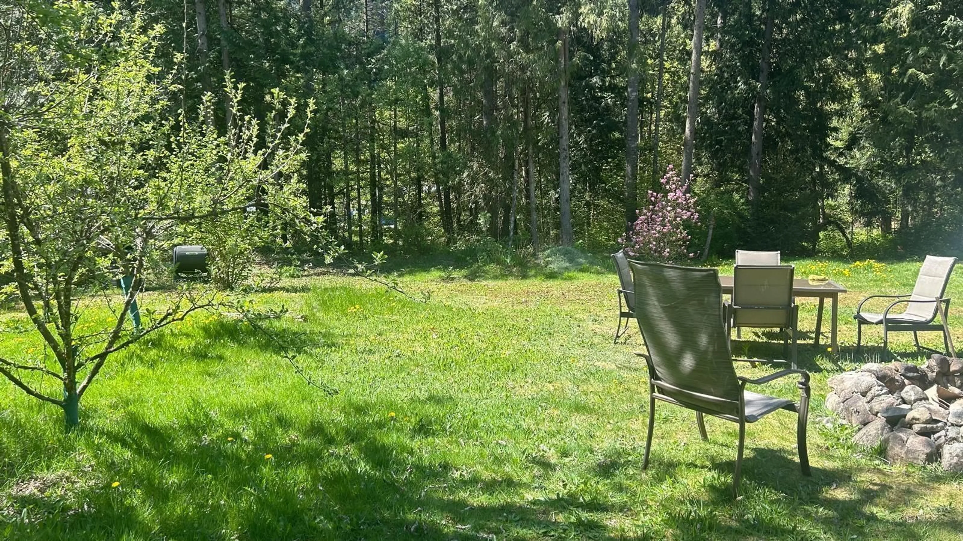 Patio, forest/trees view for 19601 SILVER SKAGIT ROAD, Hope British Columbia V0X1L2