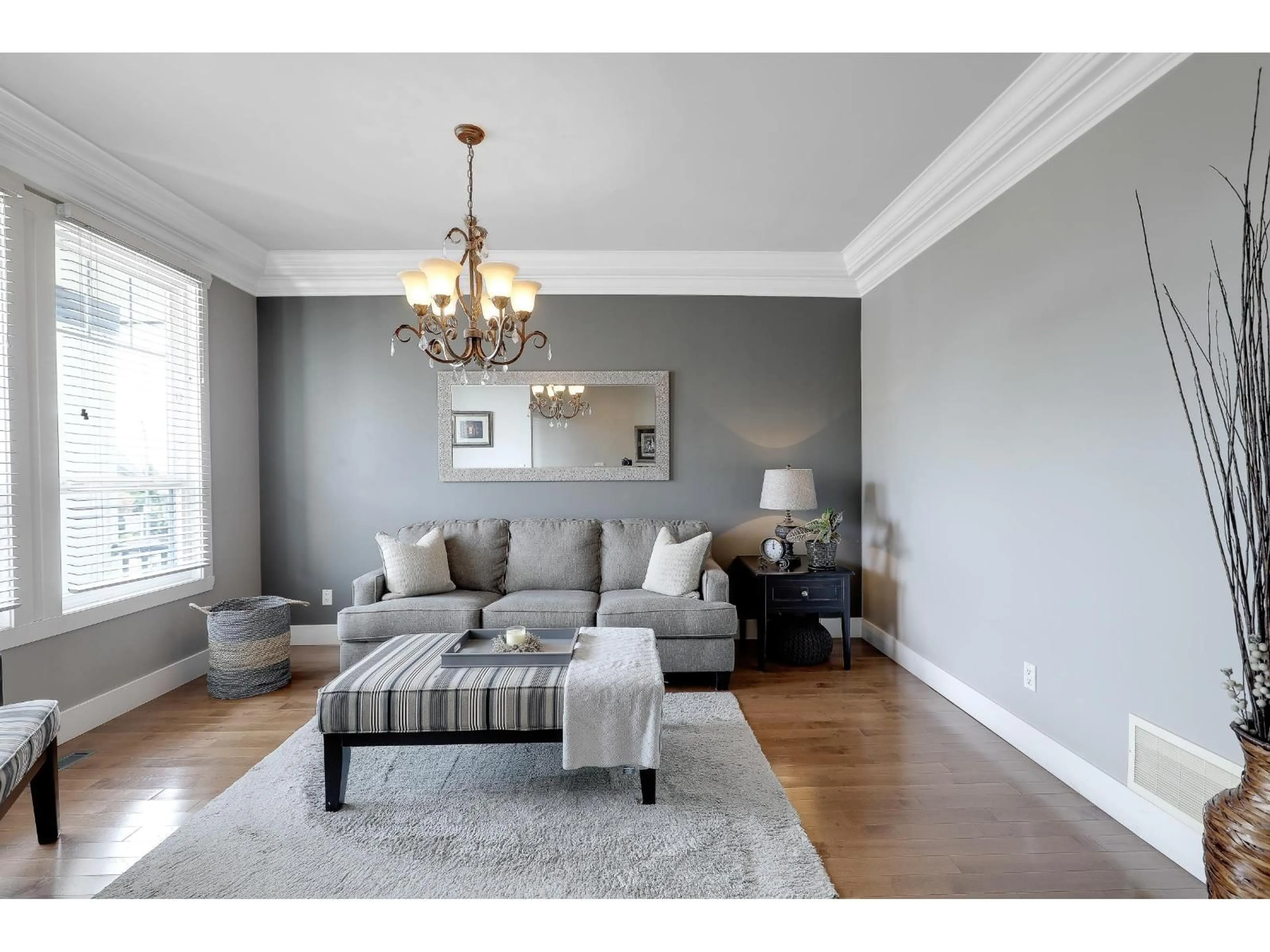 Living room with furniture, wood/laminate floor for 6847 196B STREET, Langley British Columbia V2Y3H2
