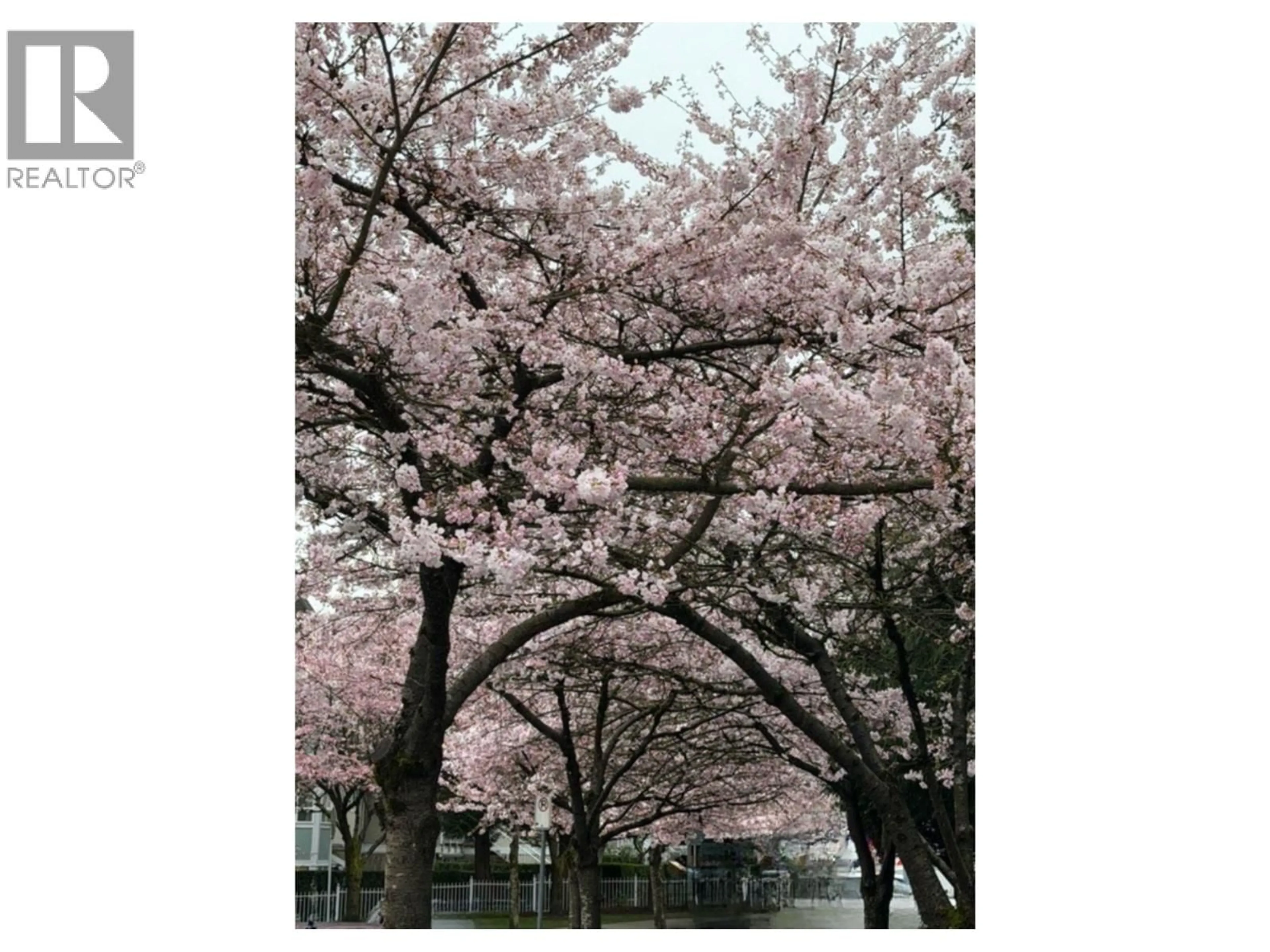 Blurry image for 13 - 6577 SOUTHOAKS CRESCENT, Burnaby British Columbia V5E4J9