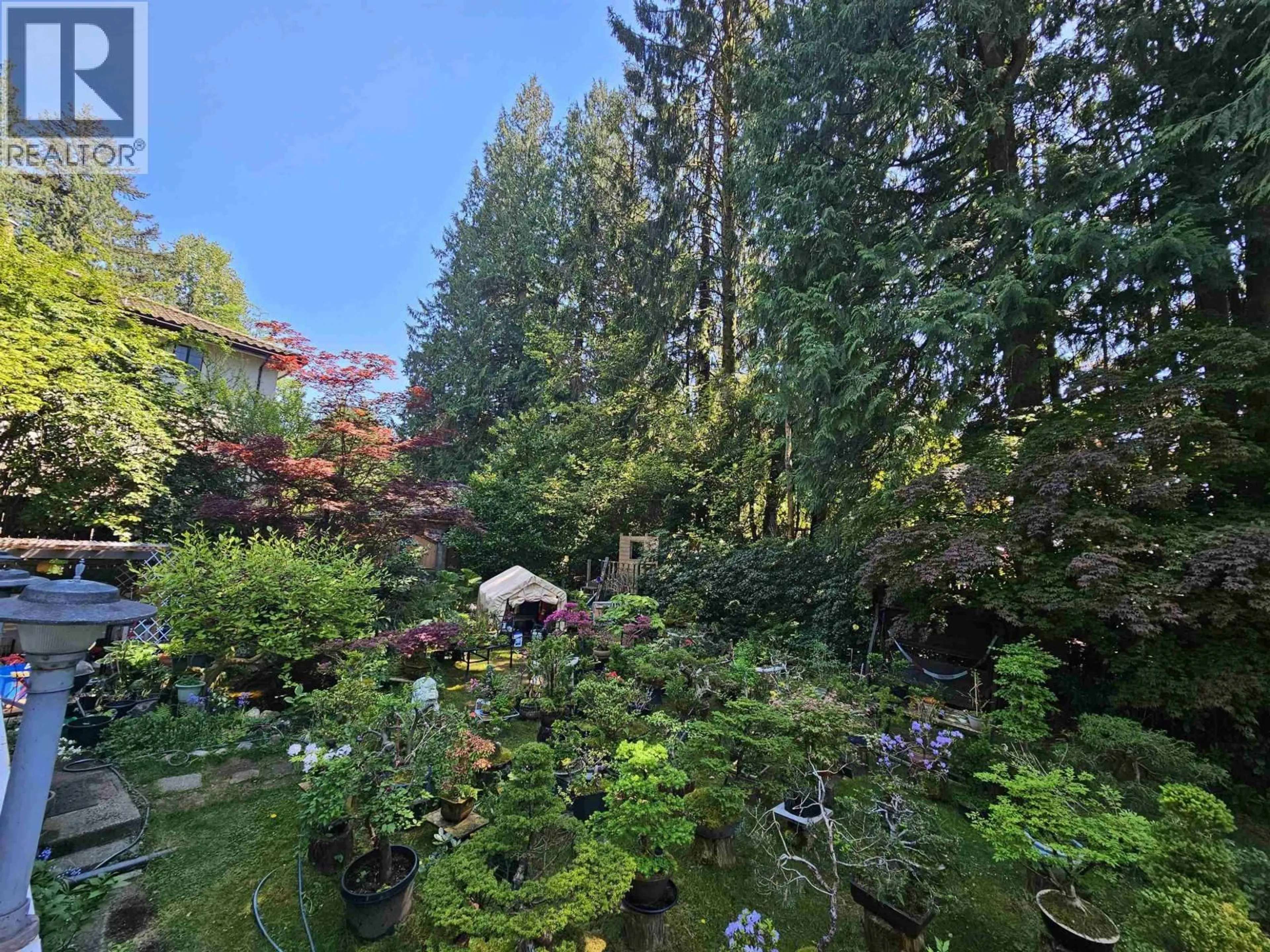 A pic from outside/outdoor area/front of a property/back of a property/a pic from drone, forest/trees view for 435 E OSBORNE ROAD, North Vancouver British Columbia V7N1M4