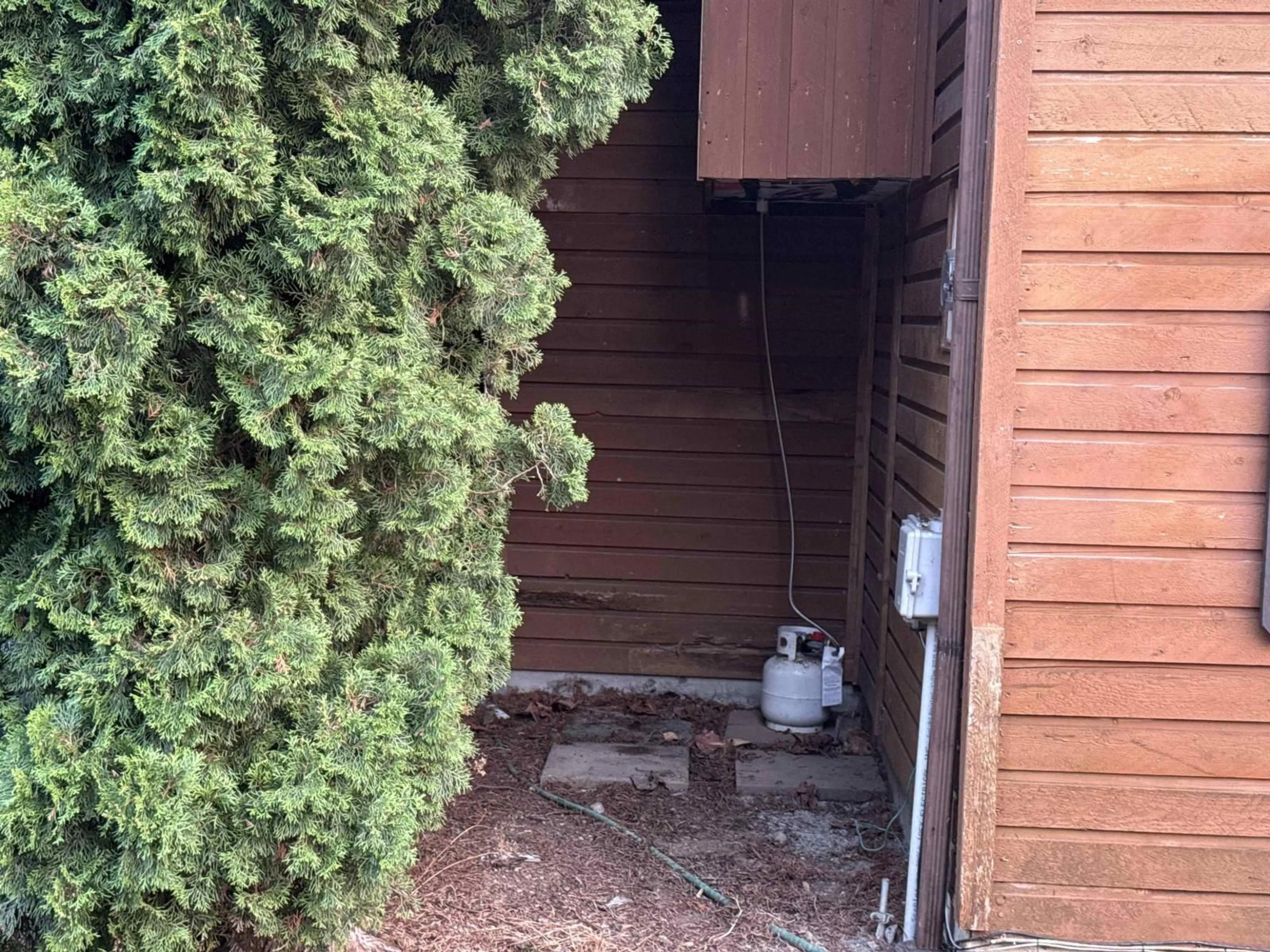 Shed for 35368 WELLS GRAY AVENUE, Abbotsford British Columbia V2S5W9