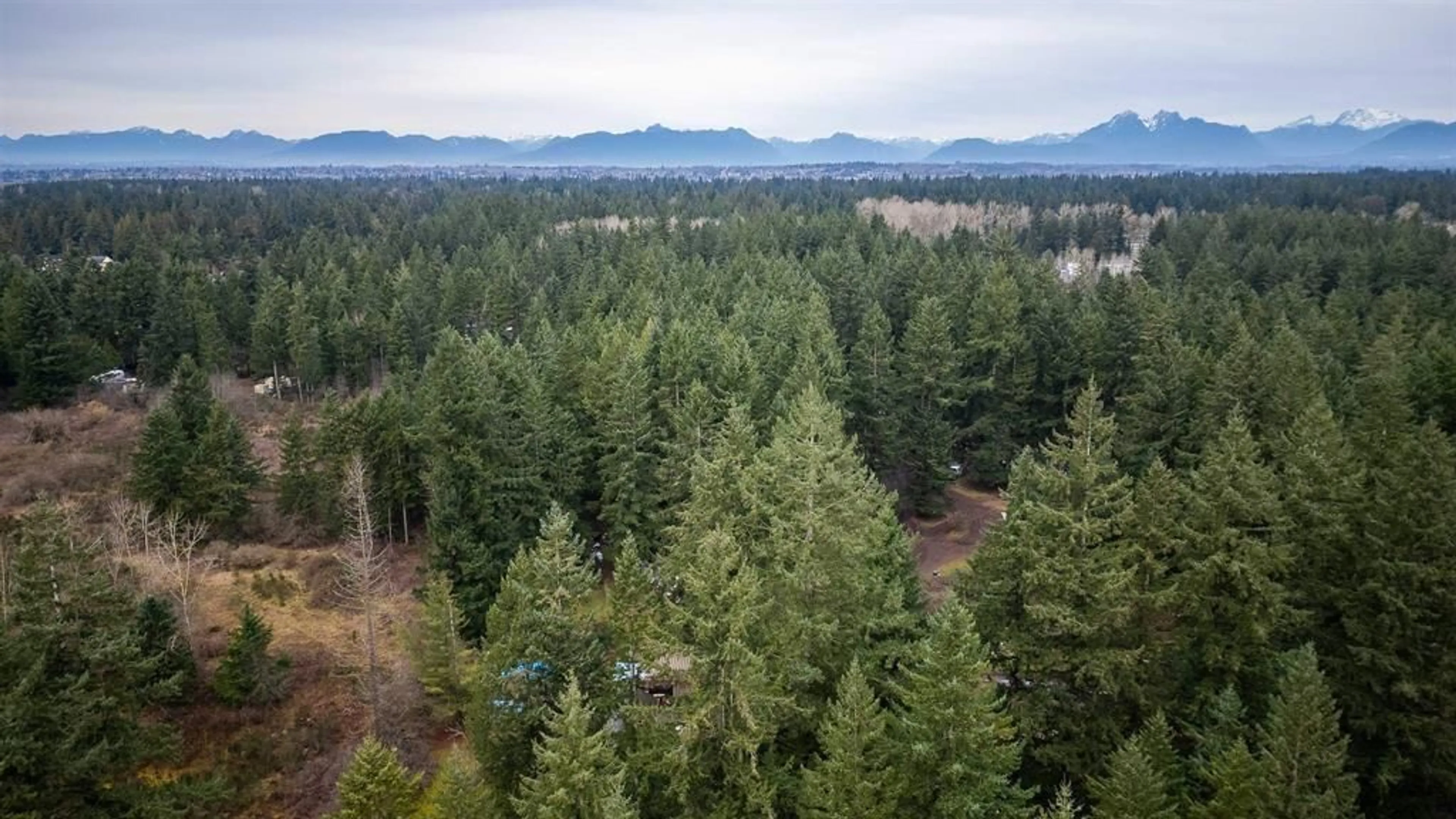 A pic from outside/outdoor area/front of a property/back of a property/a pic from drone, forest/trees view for 20108 32 AVENUE, Langley British Columbia V2Z2E1