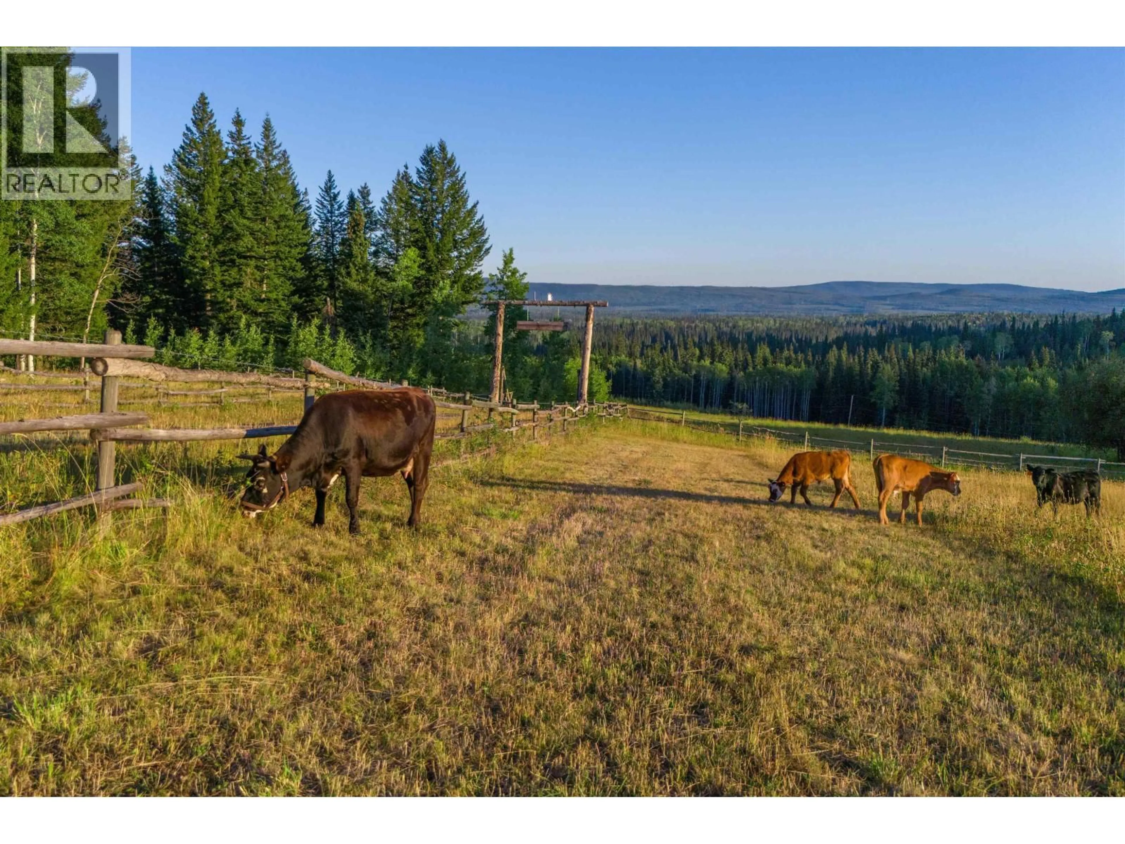 A pic from outside/outdoor area/front of a property/back of a property/a pic from drone, forest/trees view for 7915 MACHETE LAKE ROAD, Bridge Lake British Columbia V0K1E0