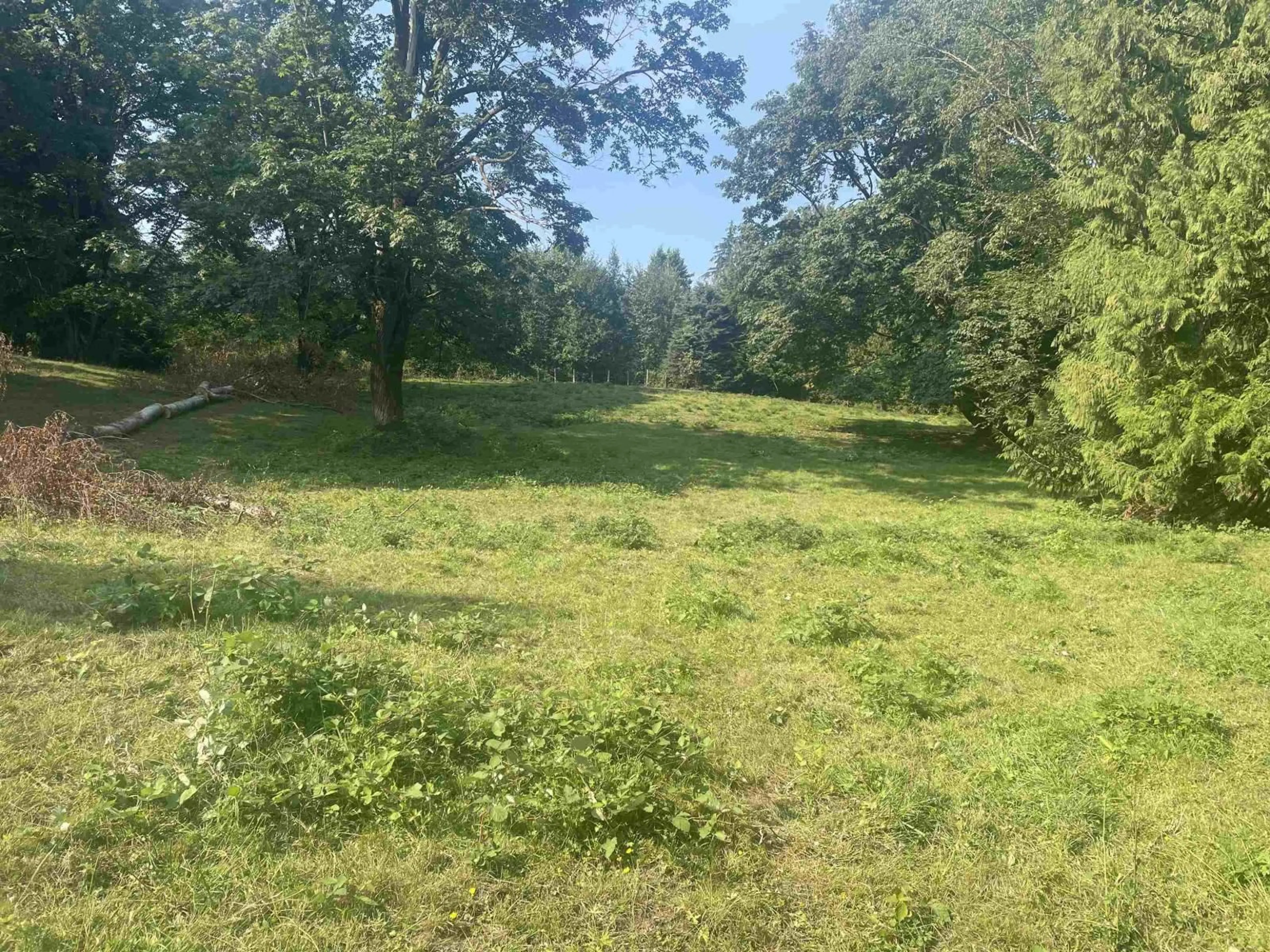 A pic from outside/outdoor area/front of a property/back of a property/a pic from drone, forest/trees view for 25839 24 AVENUE, Langley British Columbia V4W2C1