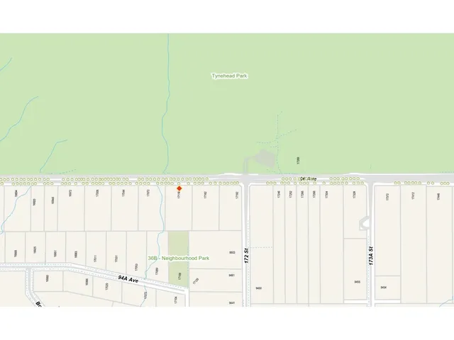 17118 96 AVENUE, Surrey 3