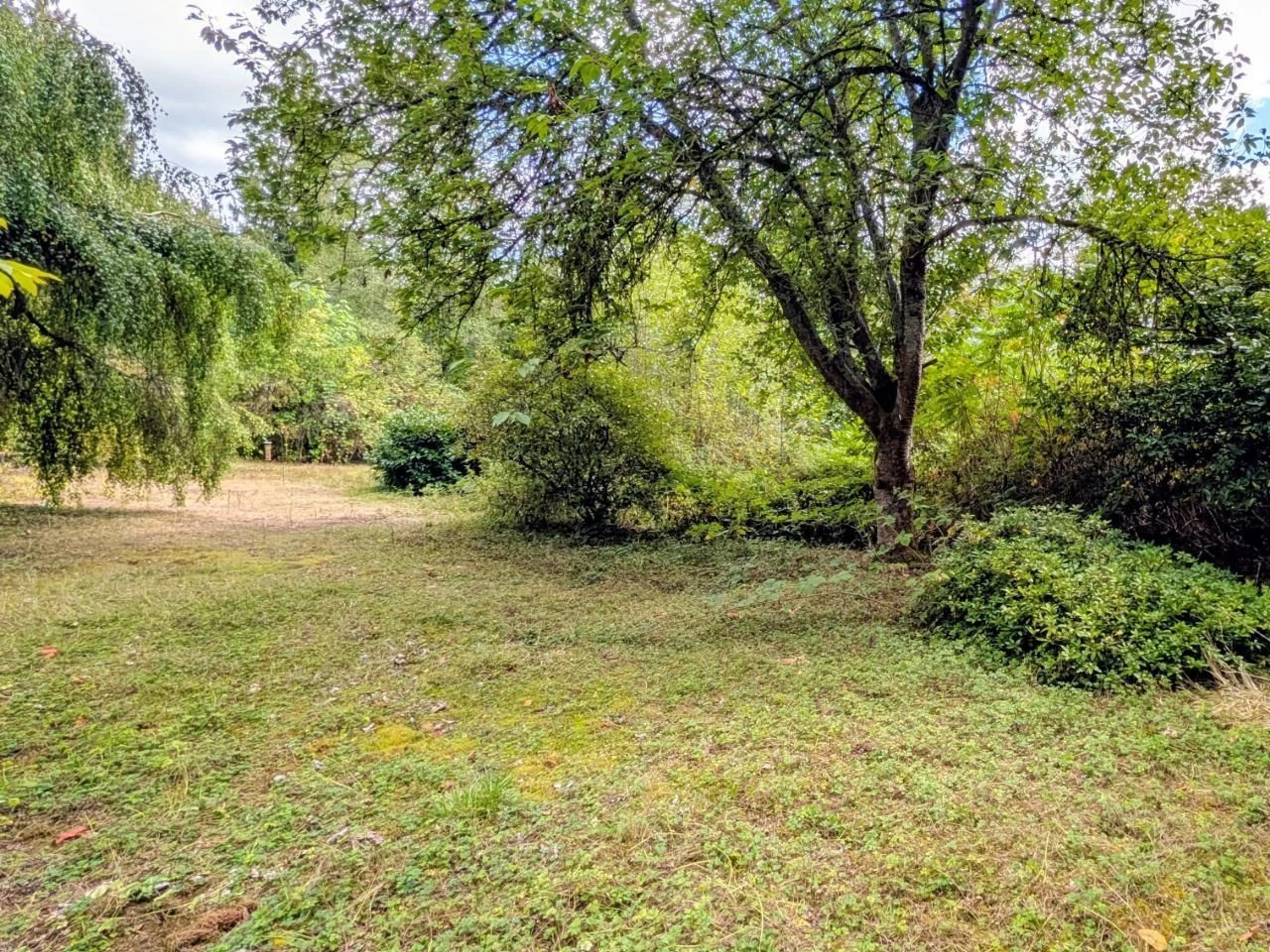 A pic from outside/outdoor area/front of a property/back of a property/a pic from drone, forest/trees view for 17118 96 AVENUE, Surrey British Columbia V4N6H3