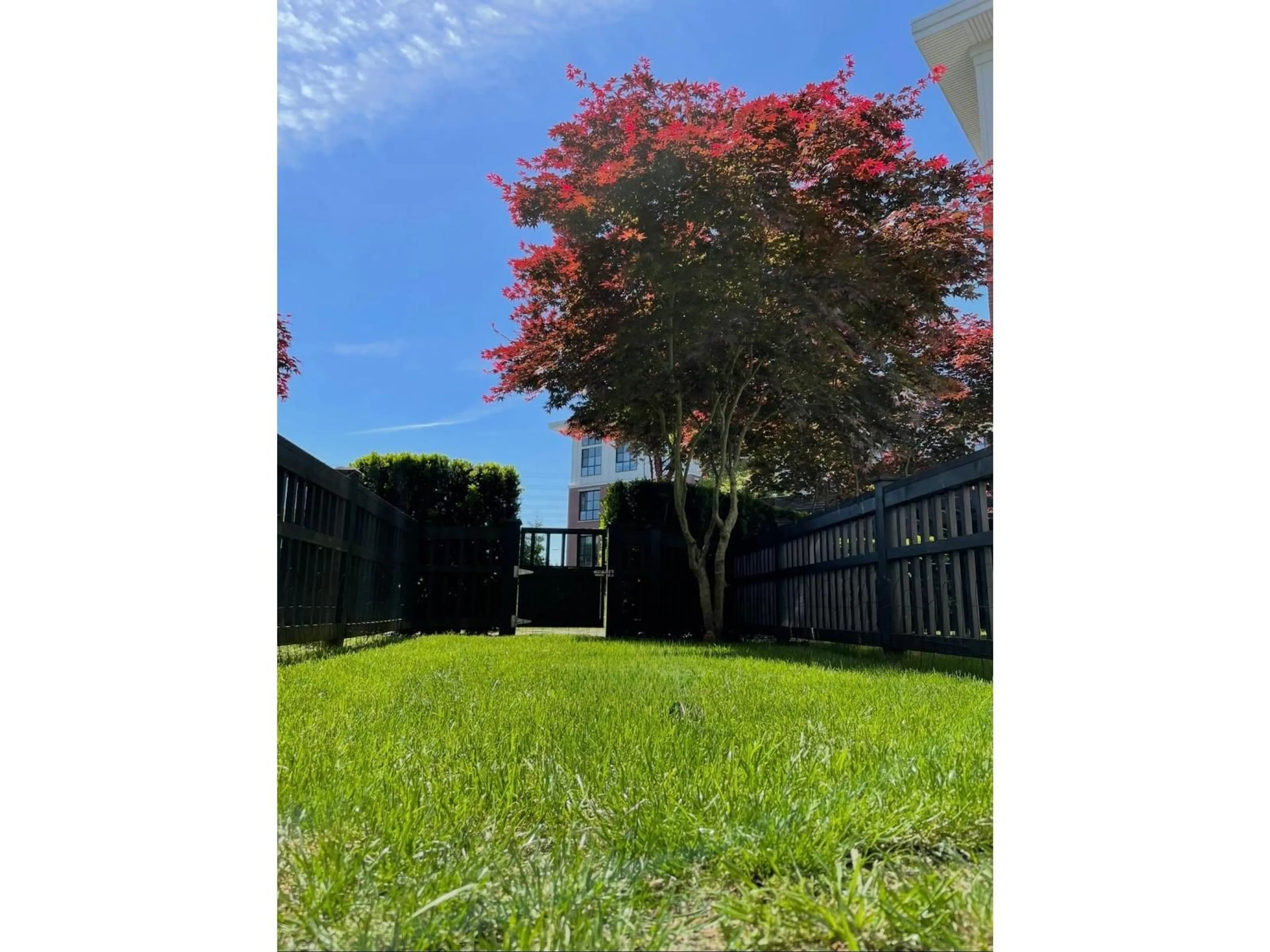 A pic from outside/outdoor area/front of a property/back of a property/a pic from drone, forest/trees view for 132 - 15168 33 AVENUE, Surrey British Columbia V3Z0N7