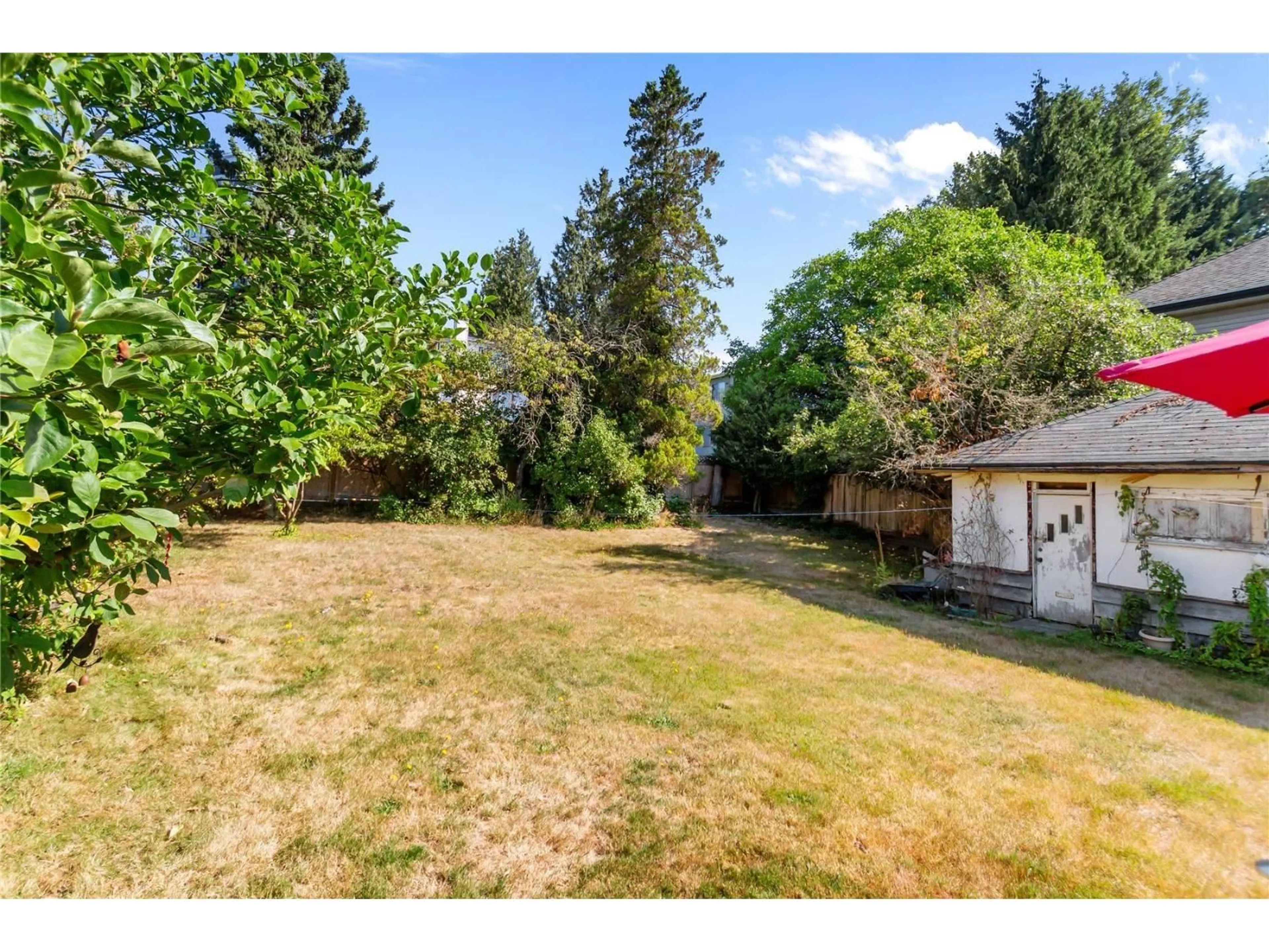 A pic from outside/outdoor area/front of a property/back of a property/a pic from drone, forest/trees view for 13897 100 AVENUE, Surrey British Columbia V3T1J4