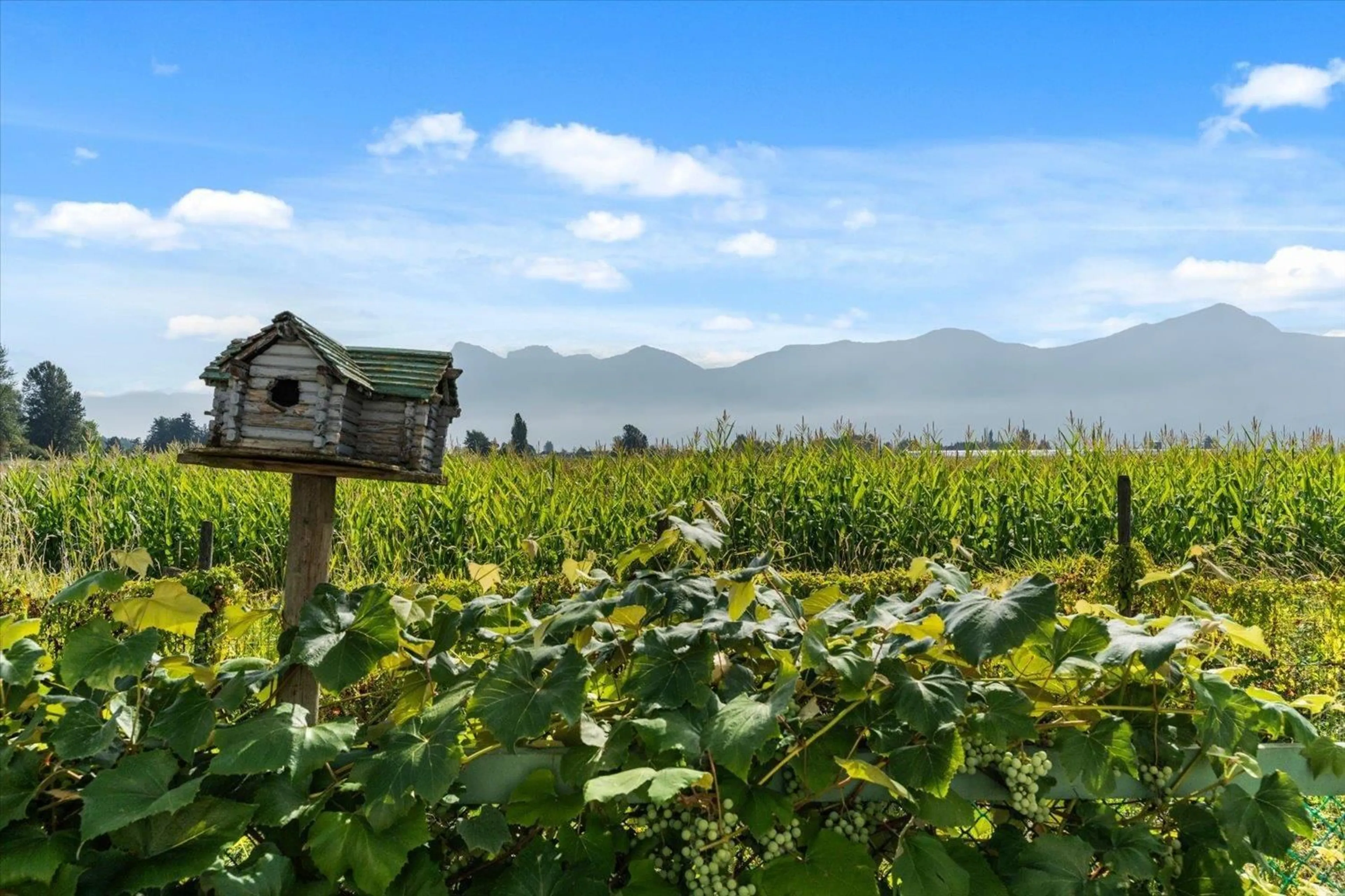 Shed for 46702 ARBUTUS AVENUE, Chilliwack British Columbia V2P6P4