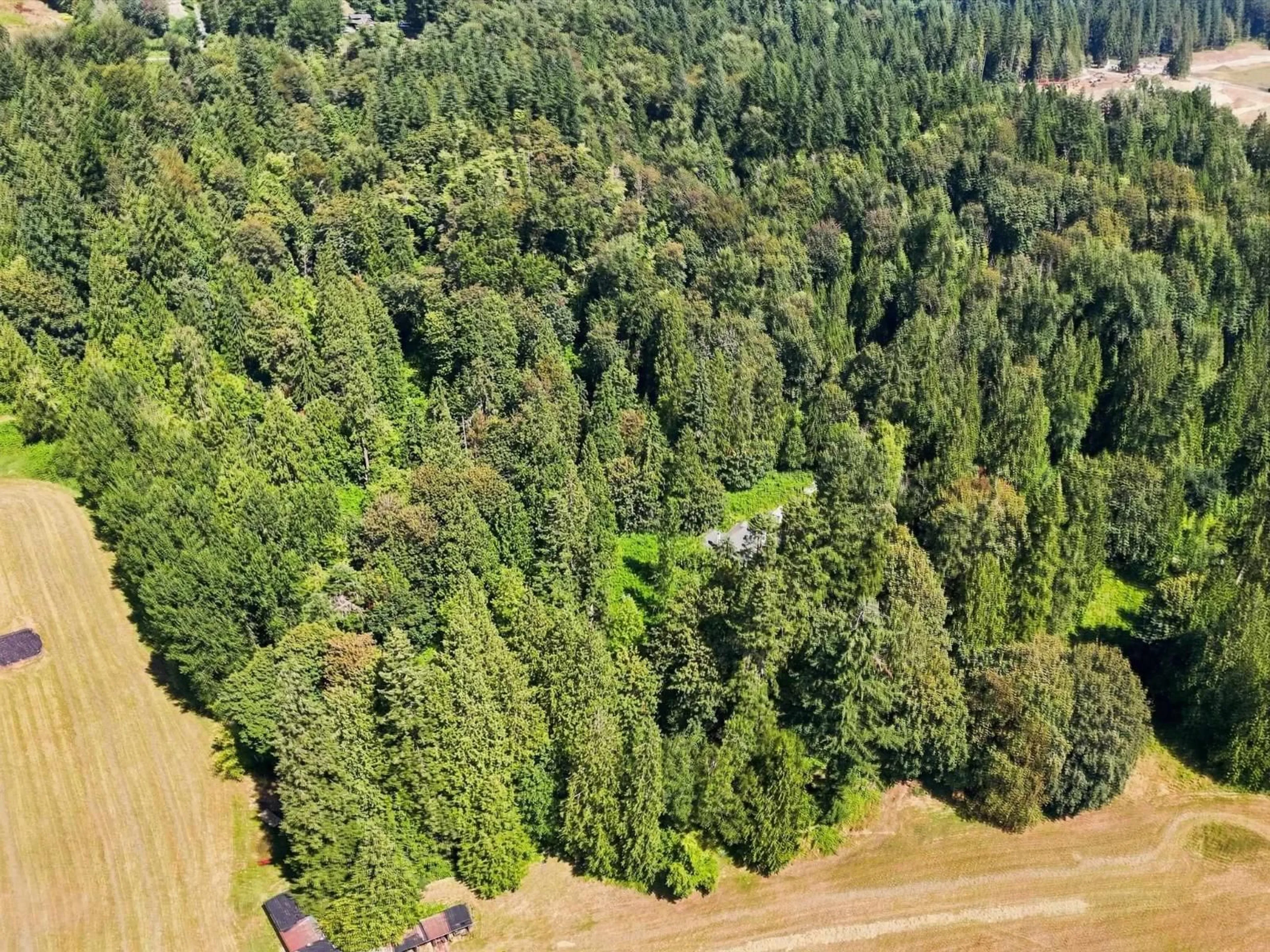 A pic from outside/outdoor area/front of a property/back of a property/a pic from drone, forest/trees view for 30919 SILVERDALE AVENUE, Mission British Columbia V4S1H2