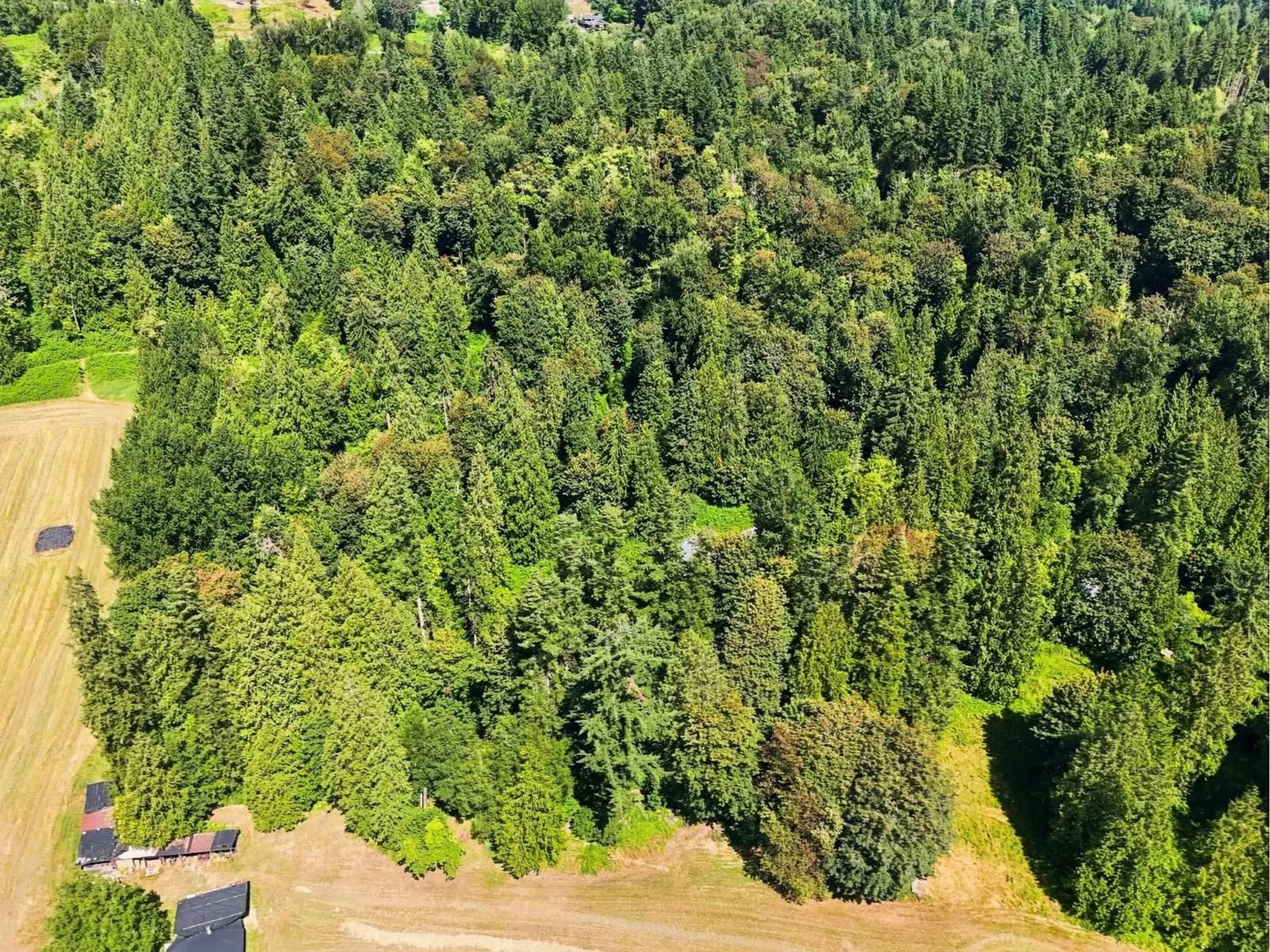 A pic from outside/outdoor area/front of a property/back of a property/a pic from drone, forest/trees view for 30919 SILVERDALE AVENUE, Mission British Columbia V4S1H2