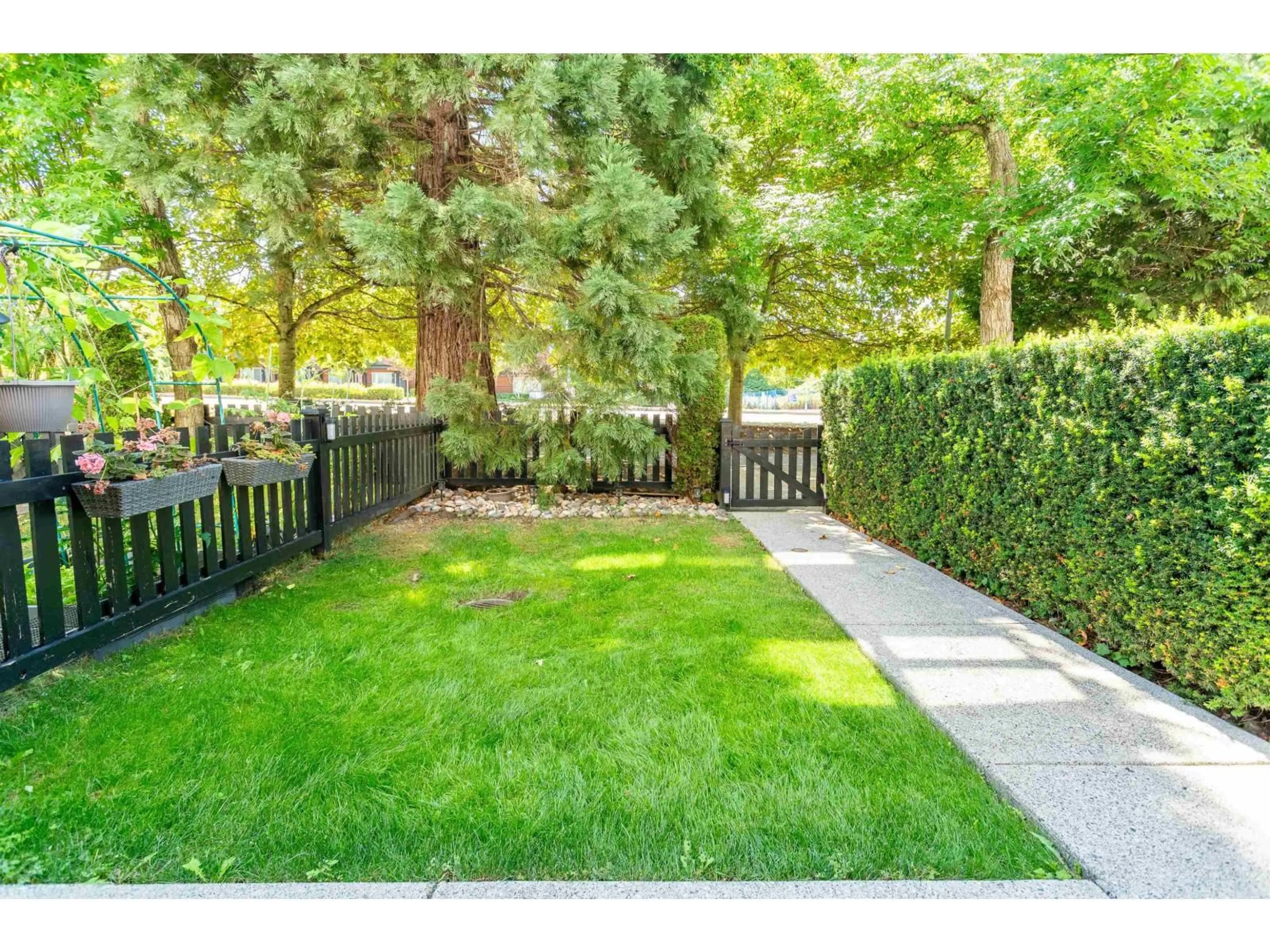 Patio, street for 46 - 2450 161A STREET, Surrey British Columbia V3Z8K4