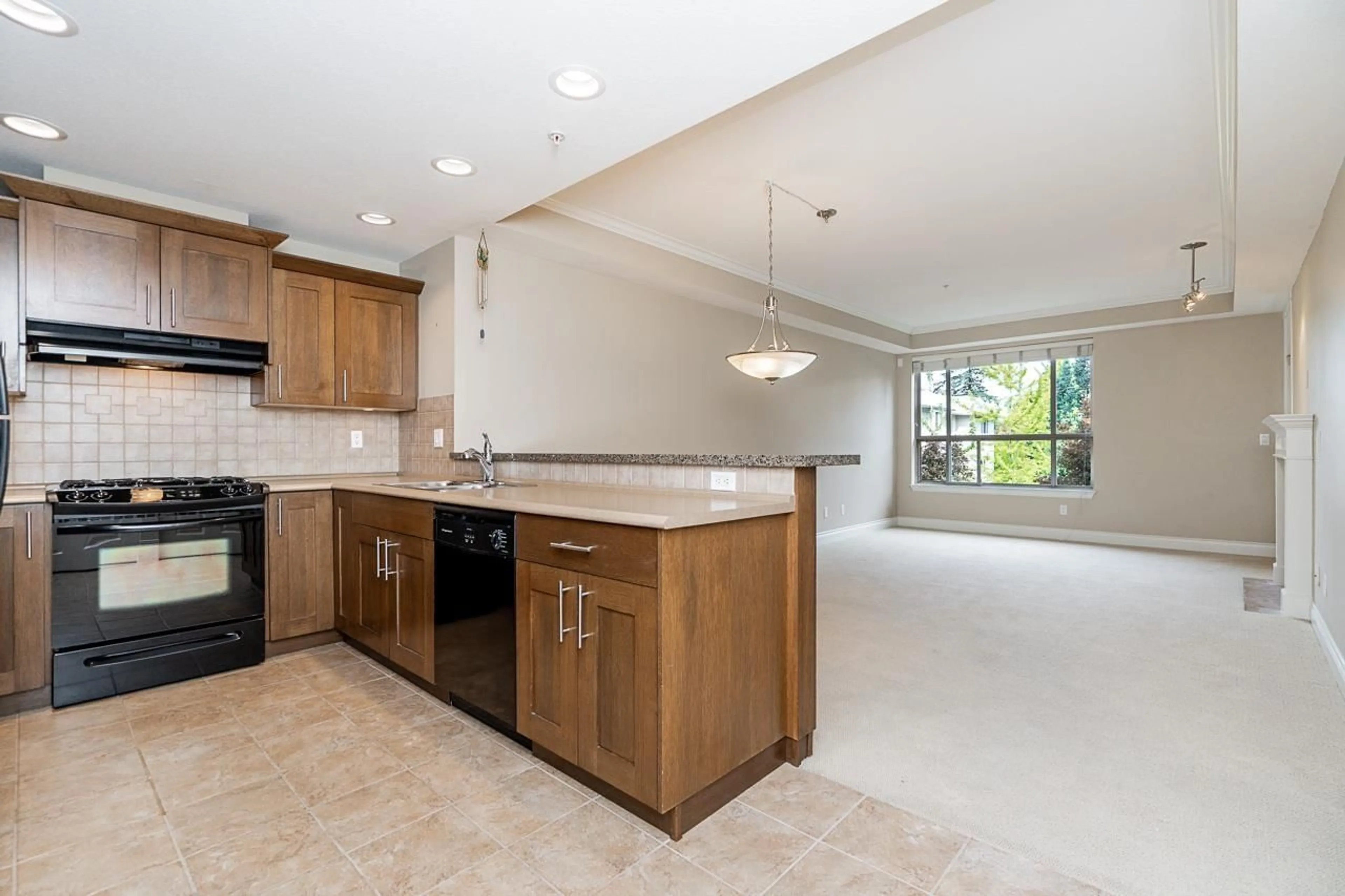 Open concept kitchen, ceramic/tile floor for 201 - 15357 17A AVENUE, Surrey British Columbia V4A1V4