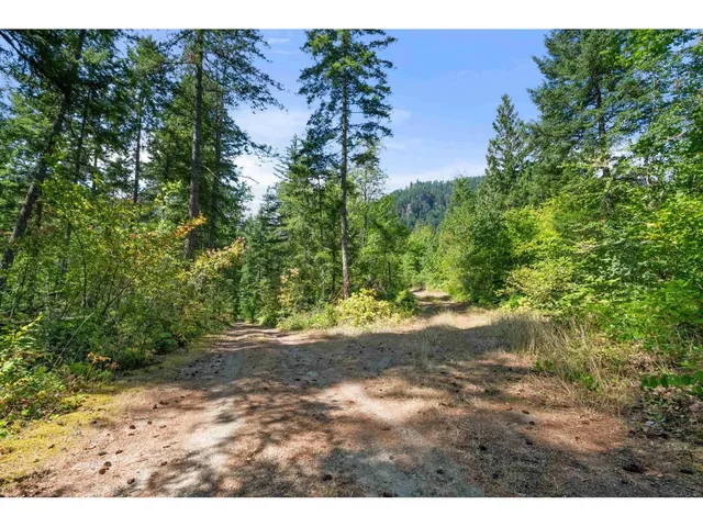65356 WOTTEN ROAD, Hope 3