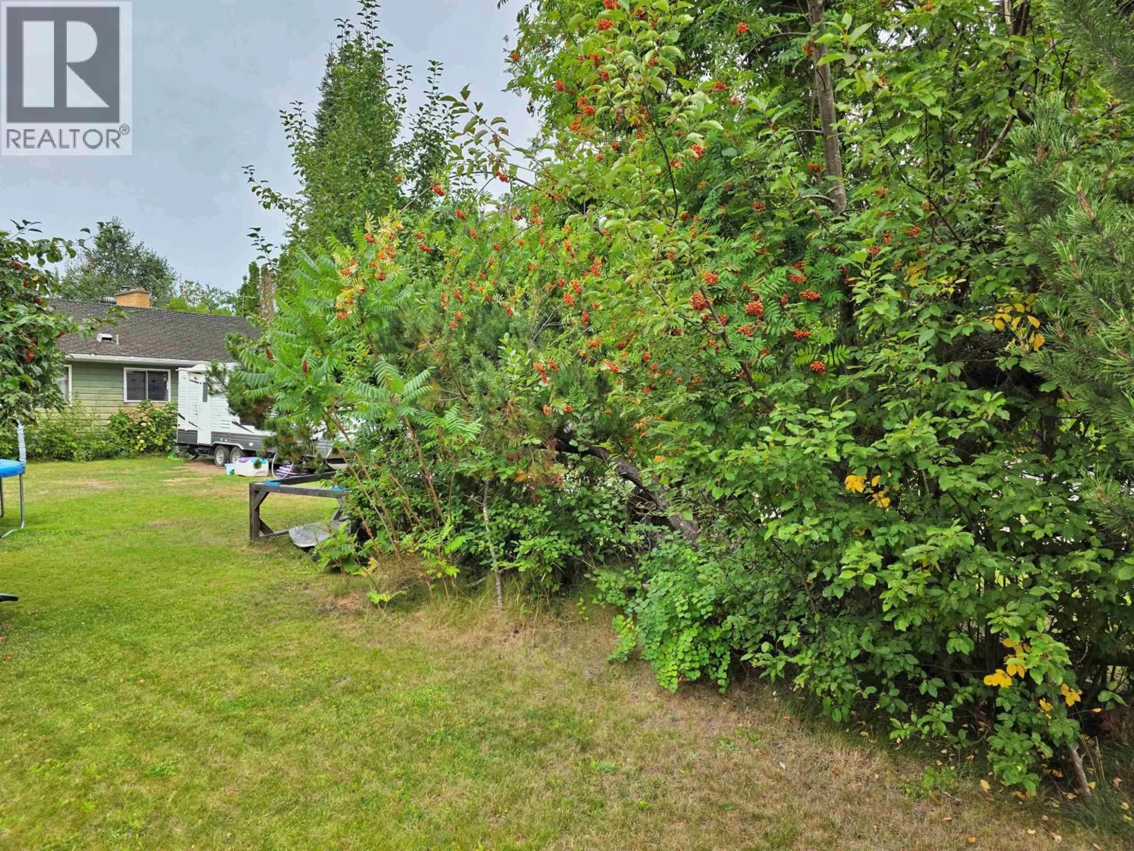 A pic from outside/outdoor area/front of a property/back of a property/a pic from drone, forest/trees view for 787 WALKEM STREET, Quesnel British Columbia V2J2J8
