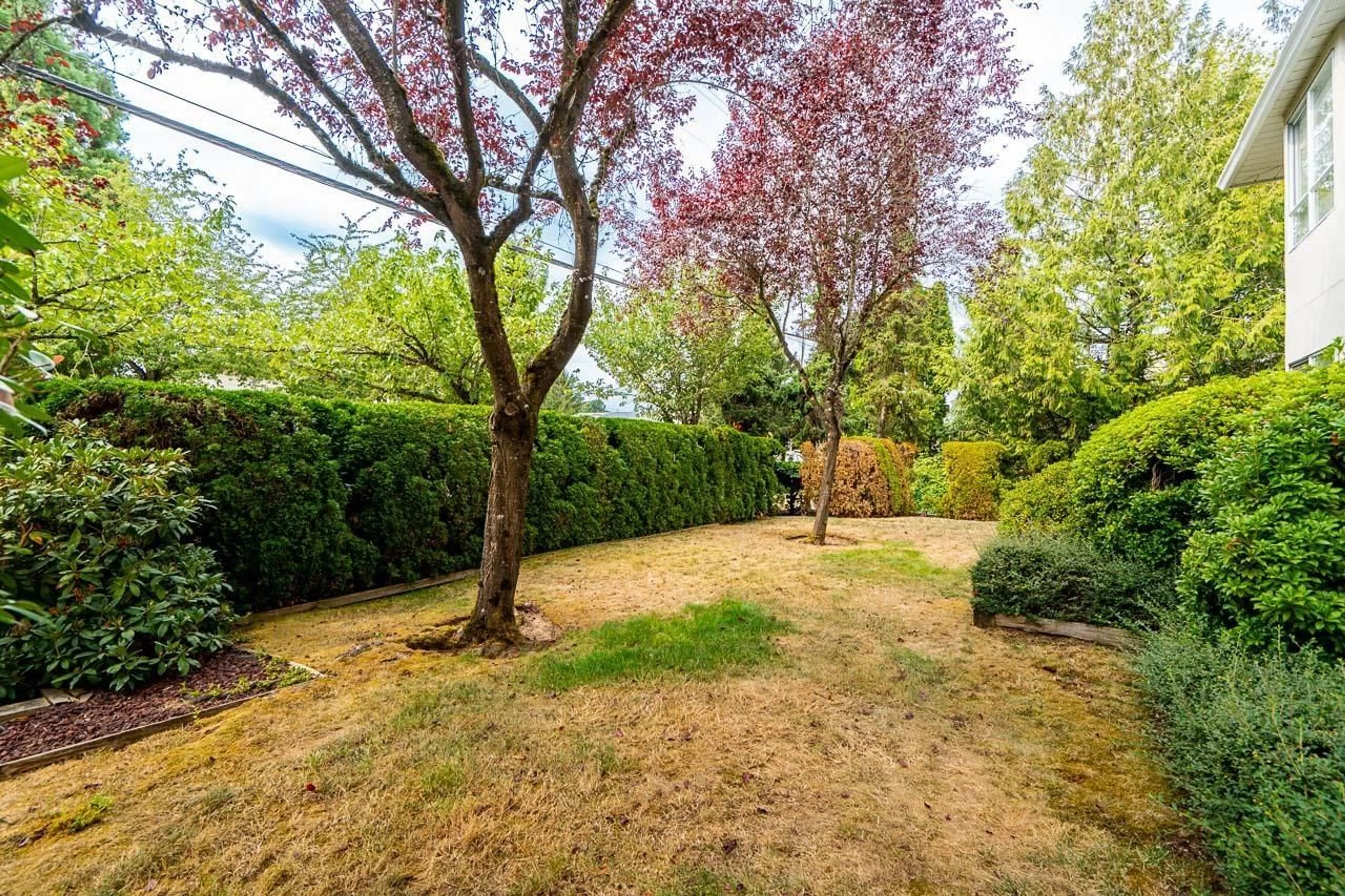 Patio, forest/trees view for 307 - 6440 197 STREET, Langley British Columbia V2Y1H9