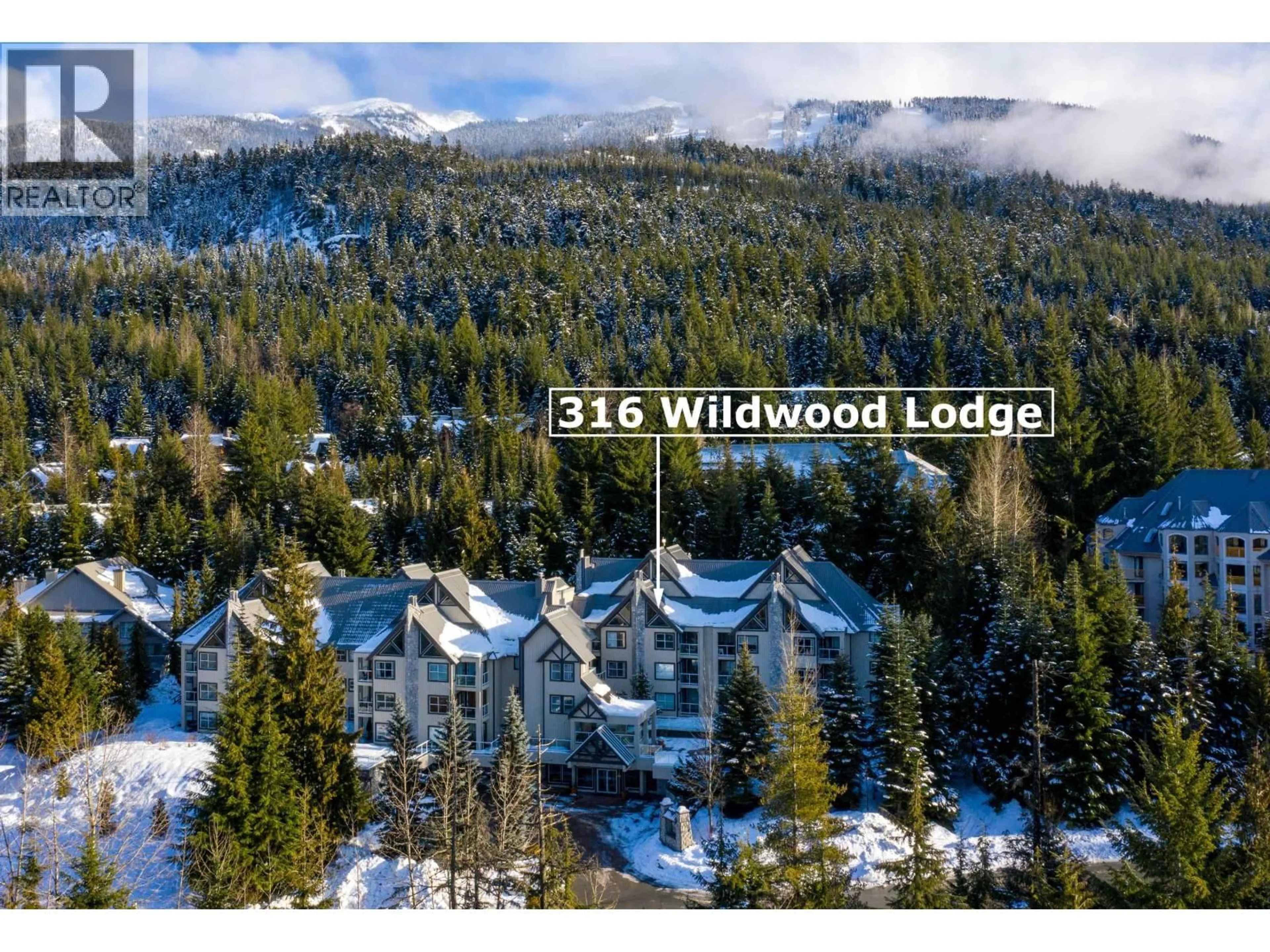 A pic from outside/outdoor area/front of a property/back of a property/a pic from drone, forest/trees view for 316 - 4749 SPEARHEAD DRIVE, Whistler British Columbia V8E1E9