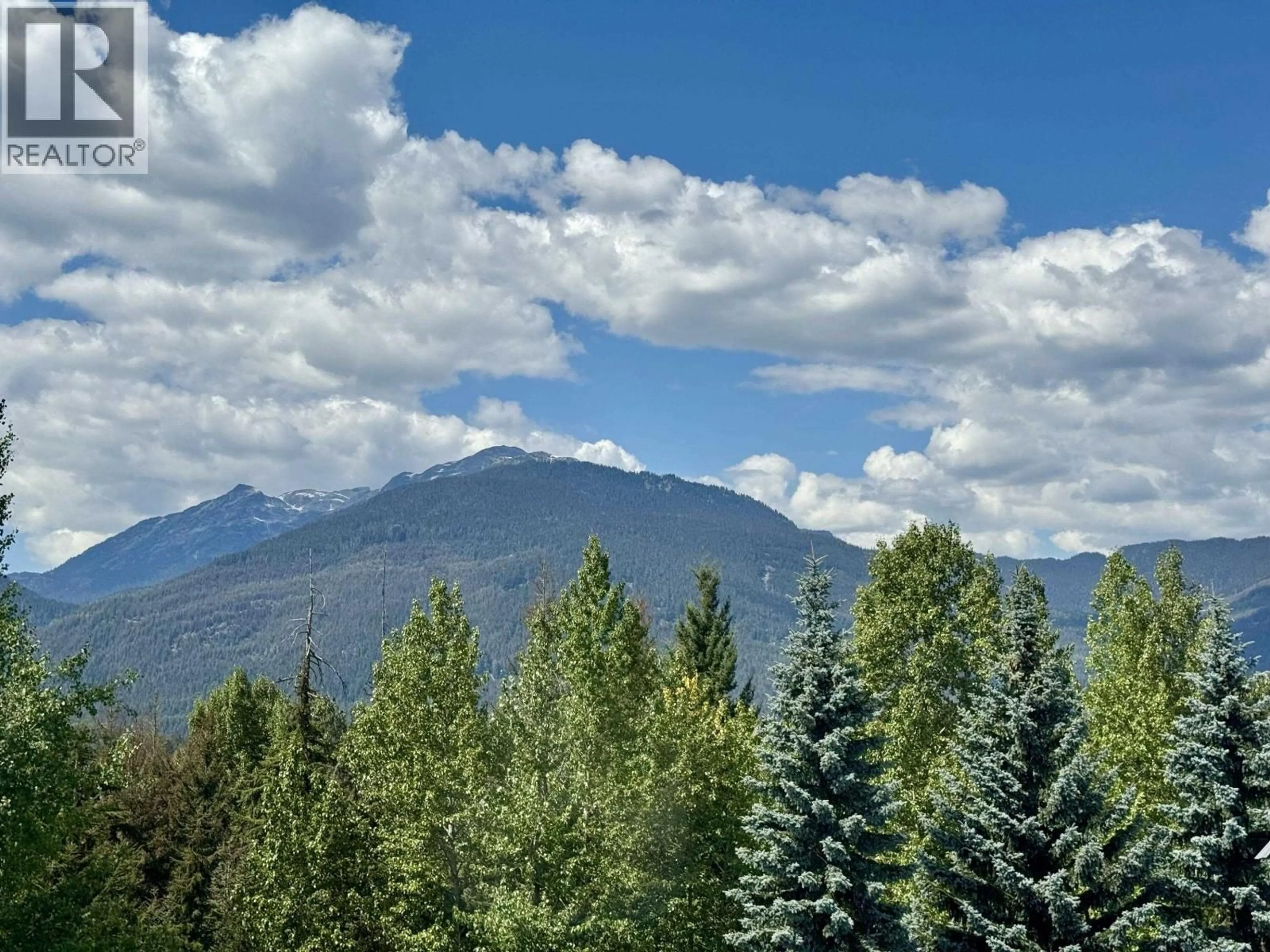 A pic of a room for 316 - 4749 SPEARHEAD DRIVE, Whistler British Columbia V8E1E9