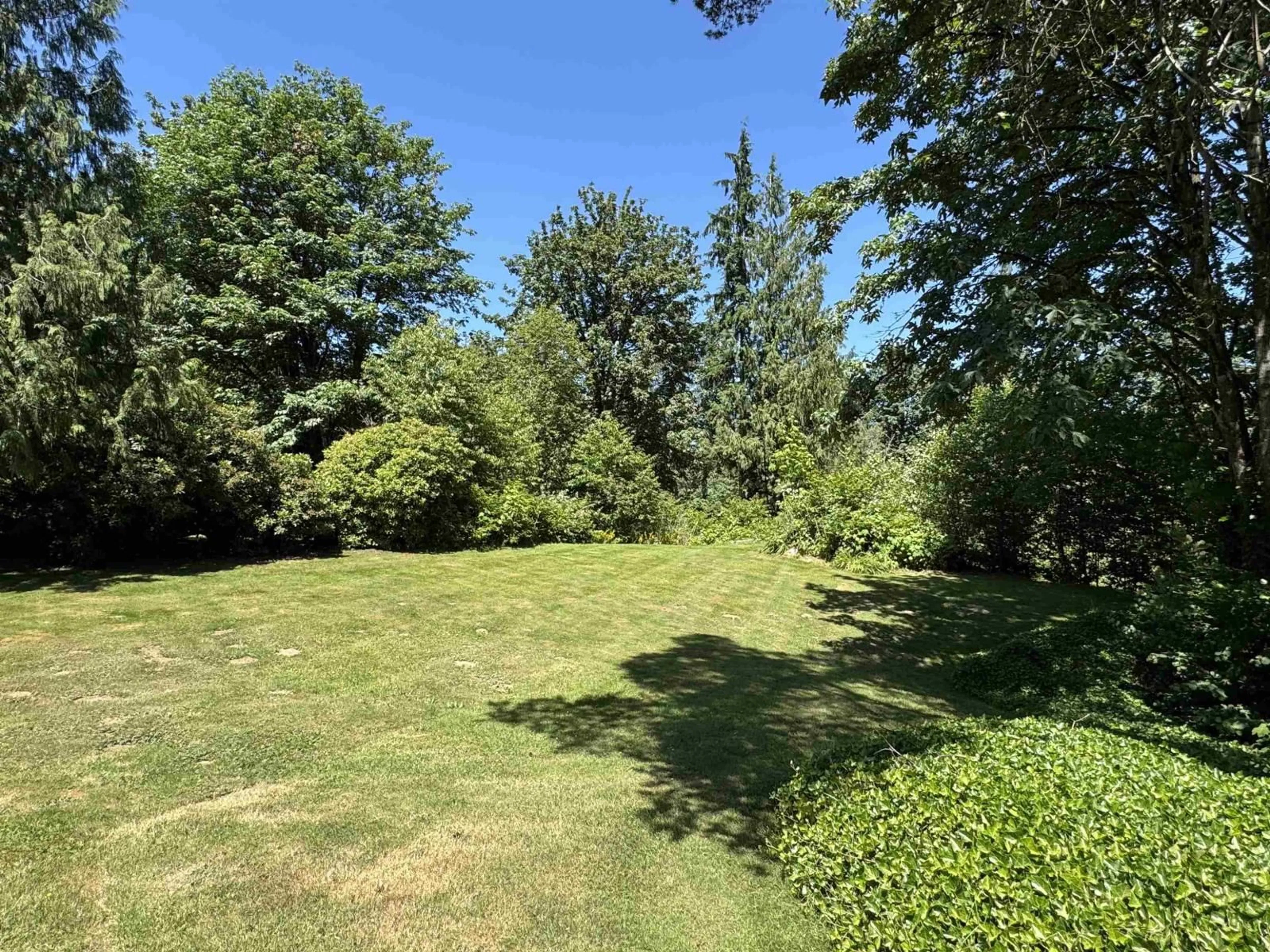 A pic from outside/outdoor area/front of a property/back of a property/a pic from drone, forest/trees view for 29669 CAMELOT AVENUE, Abbotsford British Columbia V4X2E5