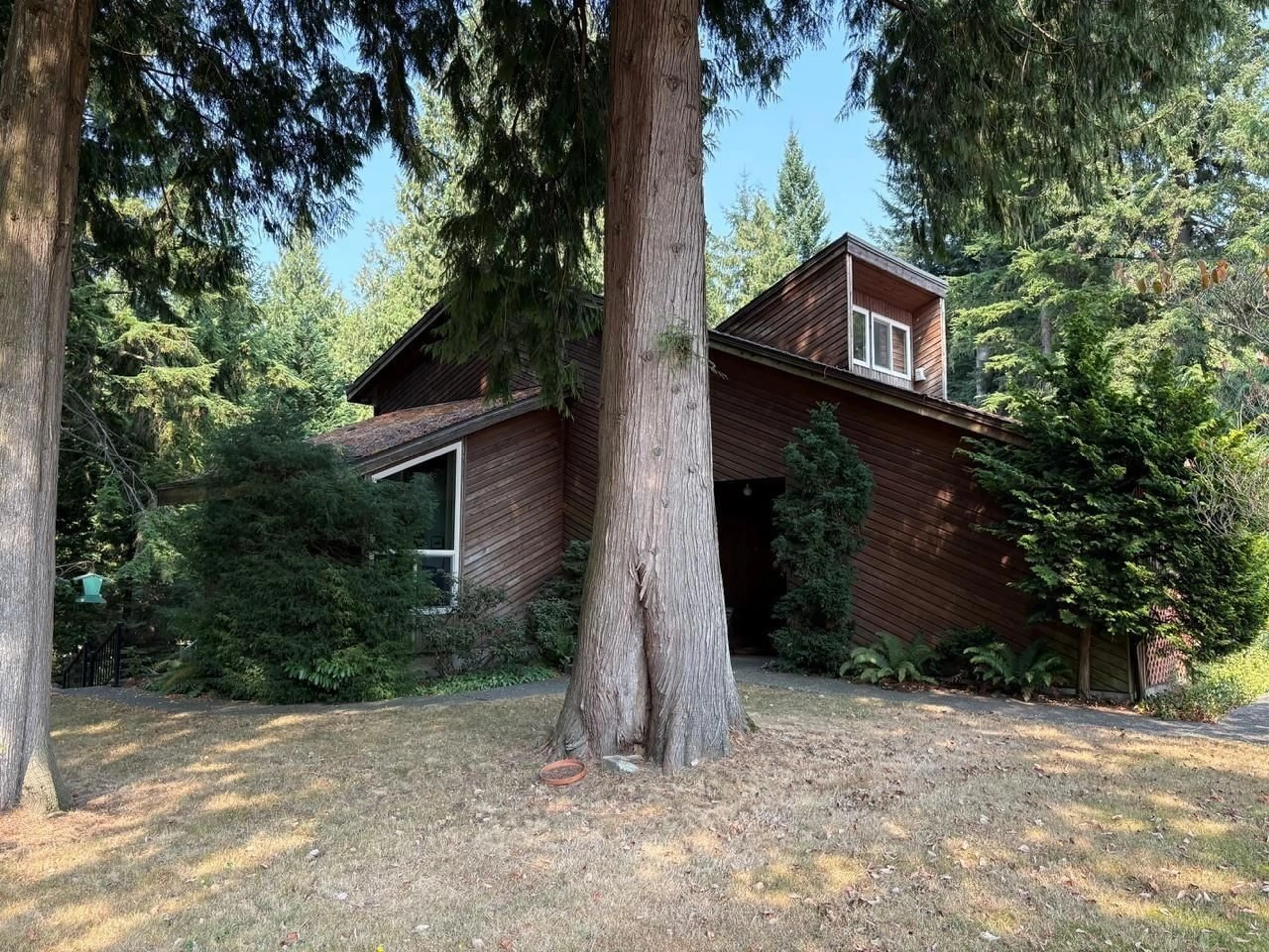 A pic from outside/outdoor area/front of a property/back of a property/a pic from drone, forest/trees view for 24538 40 AVENUE, Langley British Columbia V2Z2L9