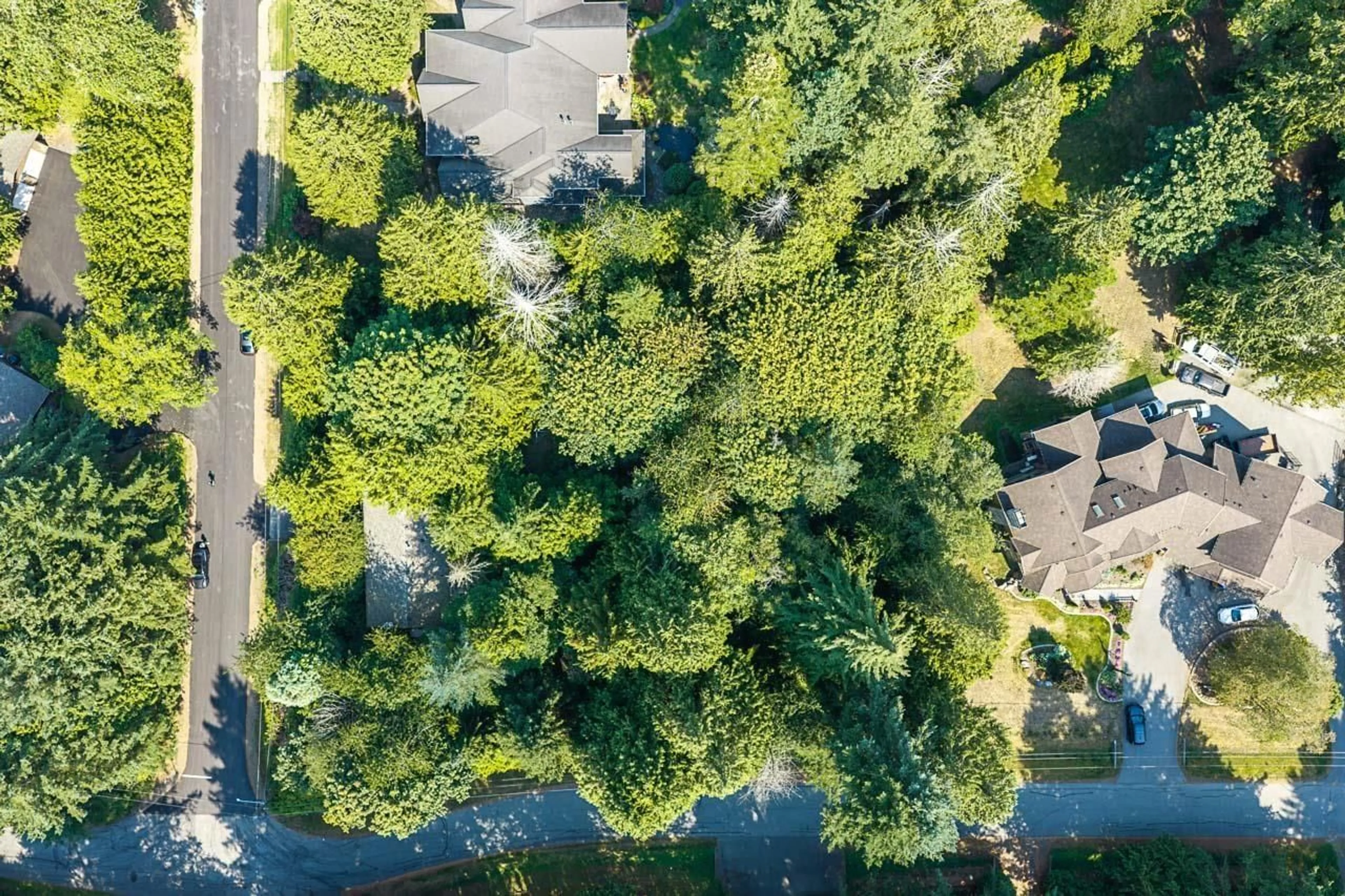 A pic from outside/outdoor area/front of a property/back of a property/a pic from drone, forest/trees view for 3530 142A STREET, Surrey British Columbia V4P1M3
