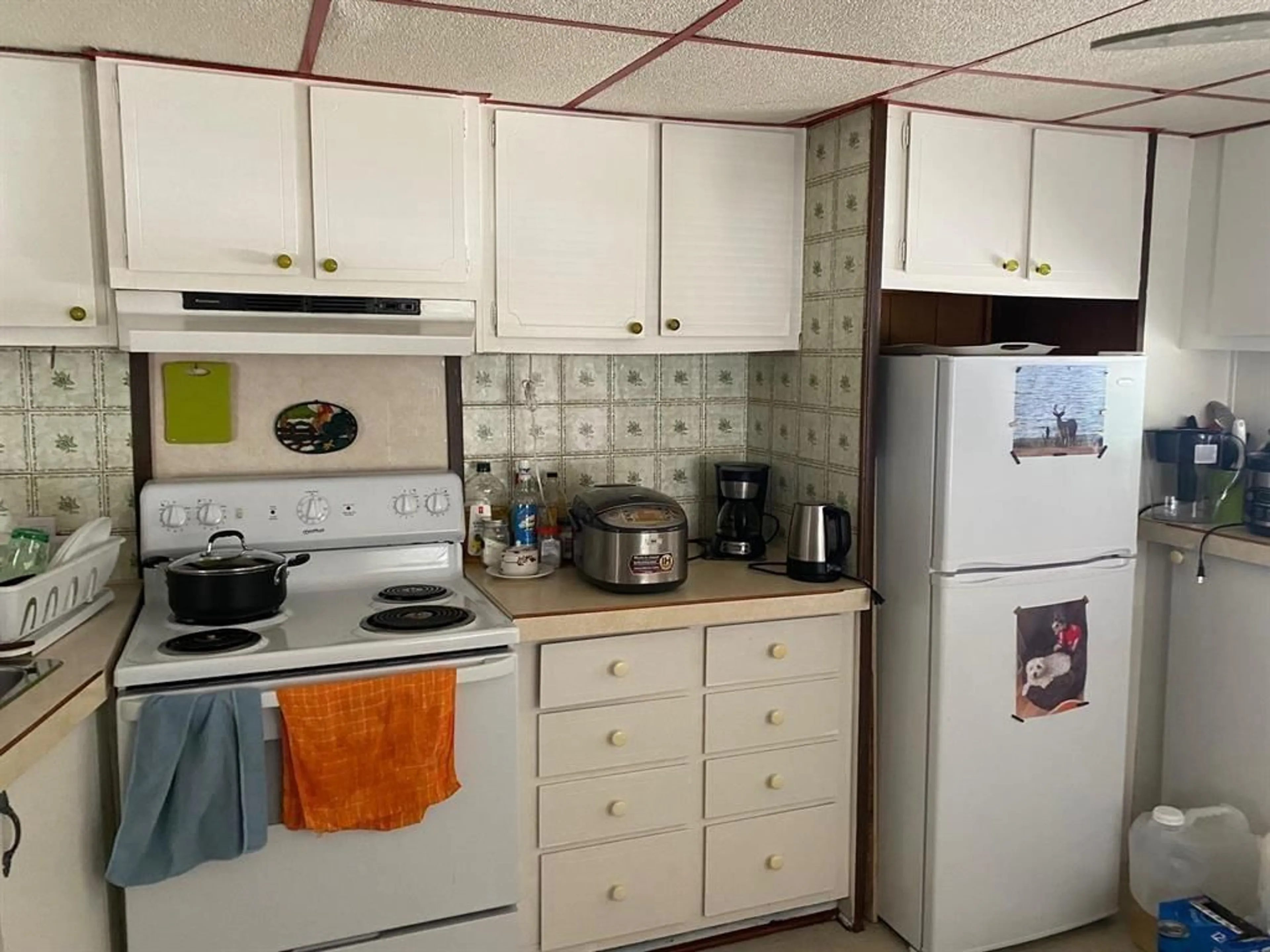 Standard kitchen, unknown for 31 - 8266 KING GEORGE BOULEVARD, Surrey British Columbia V3W6E1