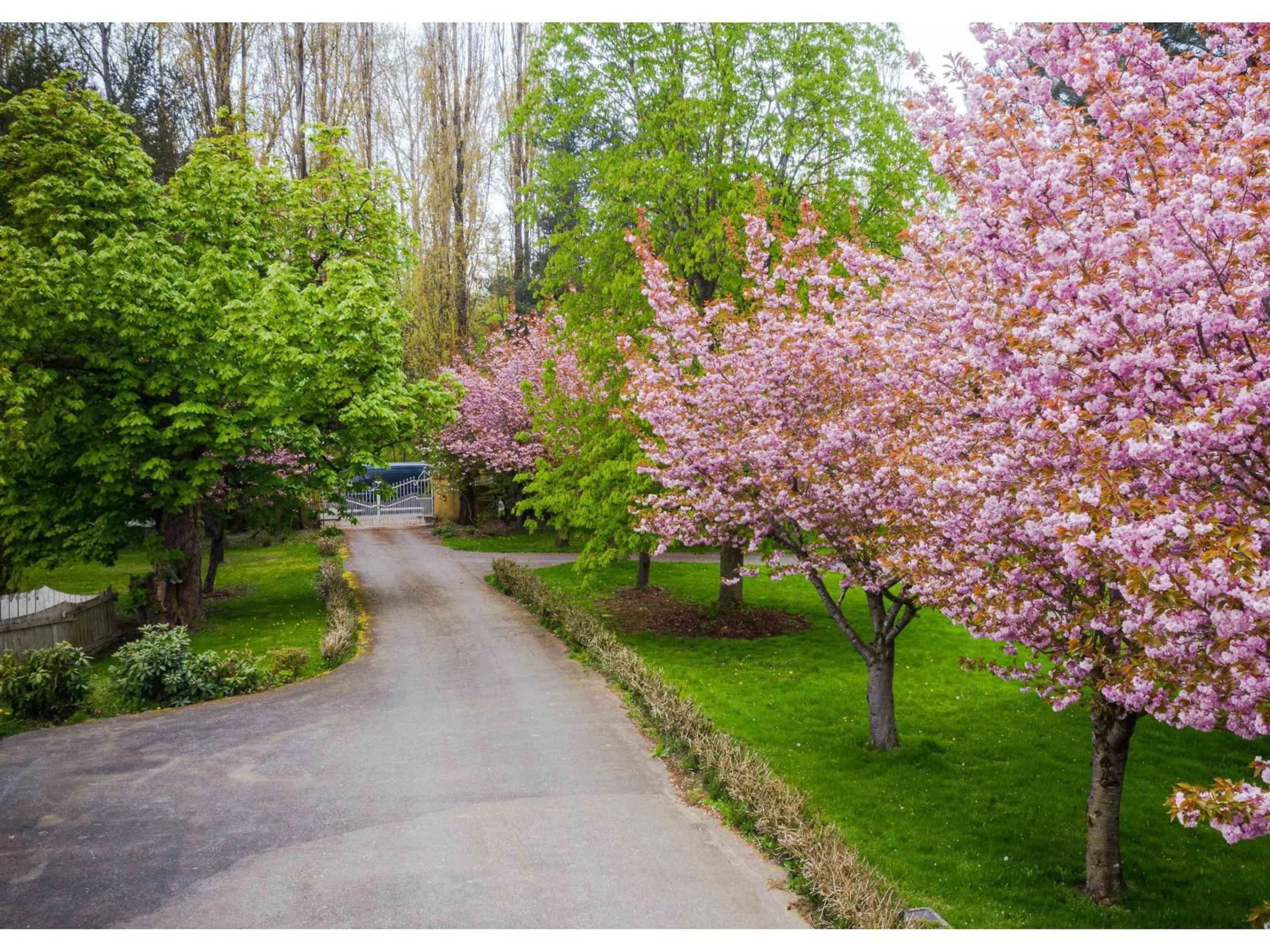 Blurry image for 462 248 STREET, Langley British Columbia V4W2H2