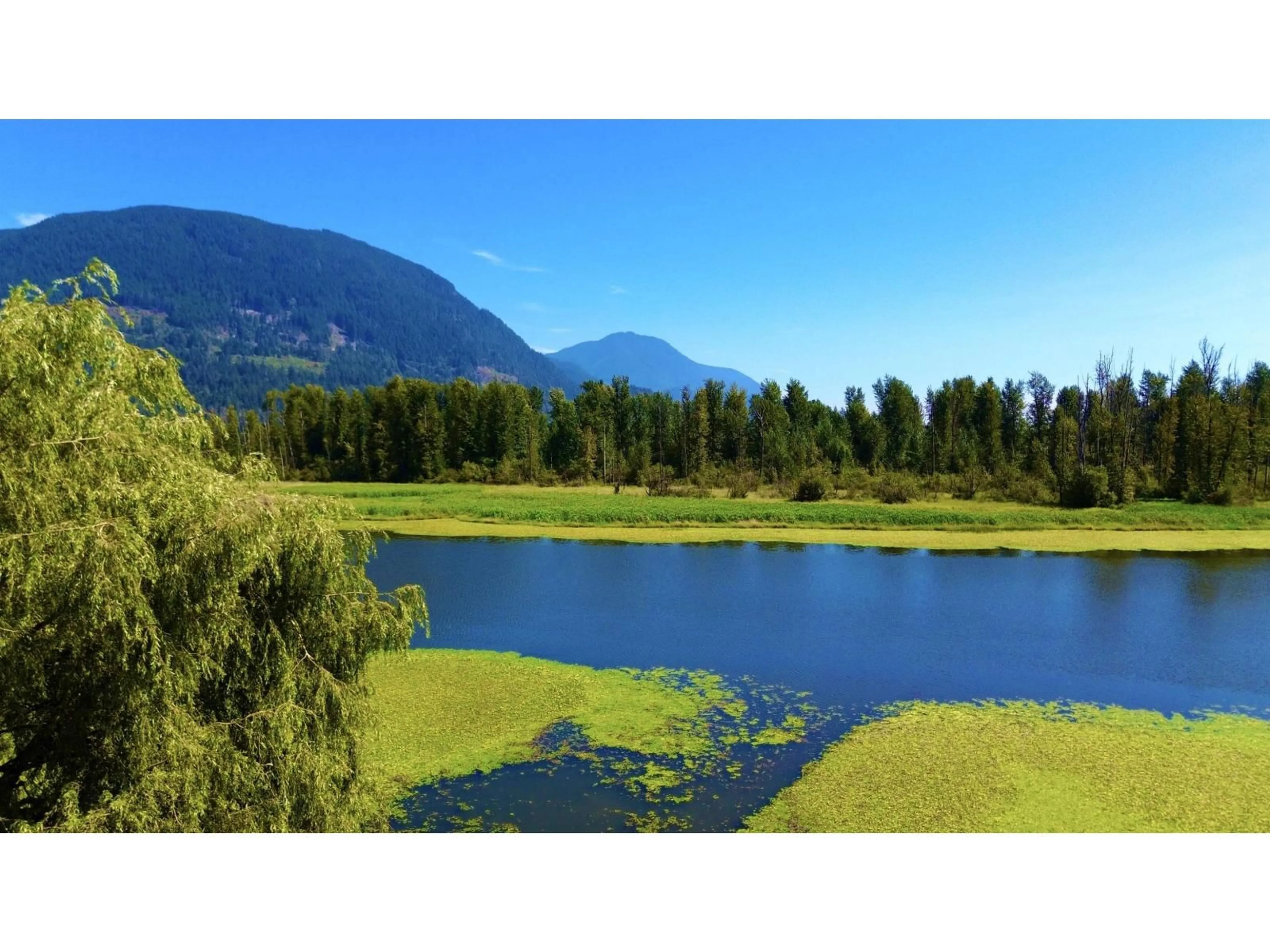 Unknown for 8586 SHOOK ROAD, Mission British Columbia V2V7L8