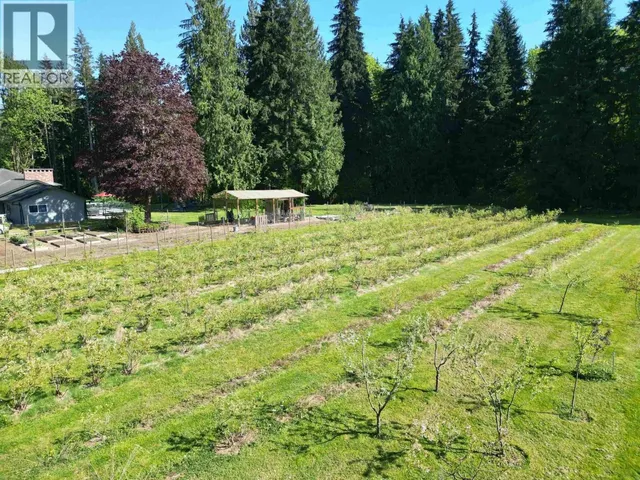 25908 124 AVENUE, Maple Ridge 5