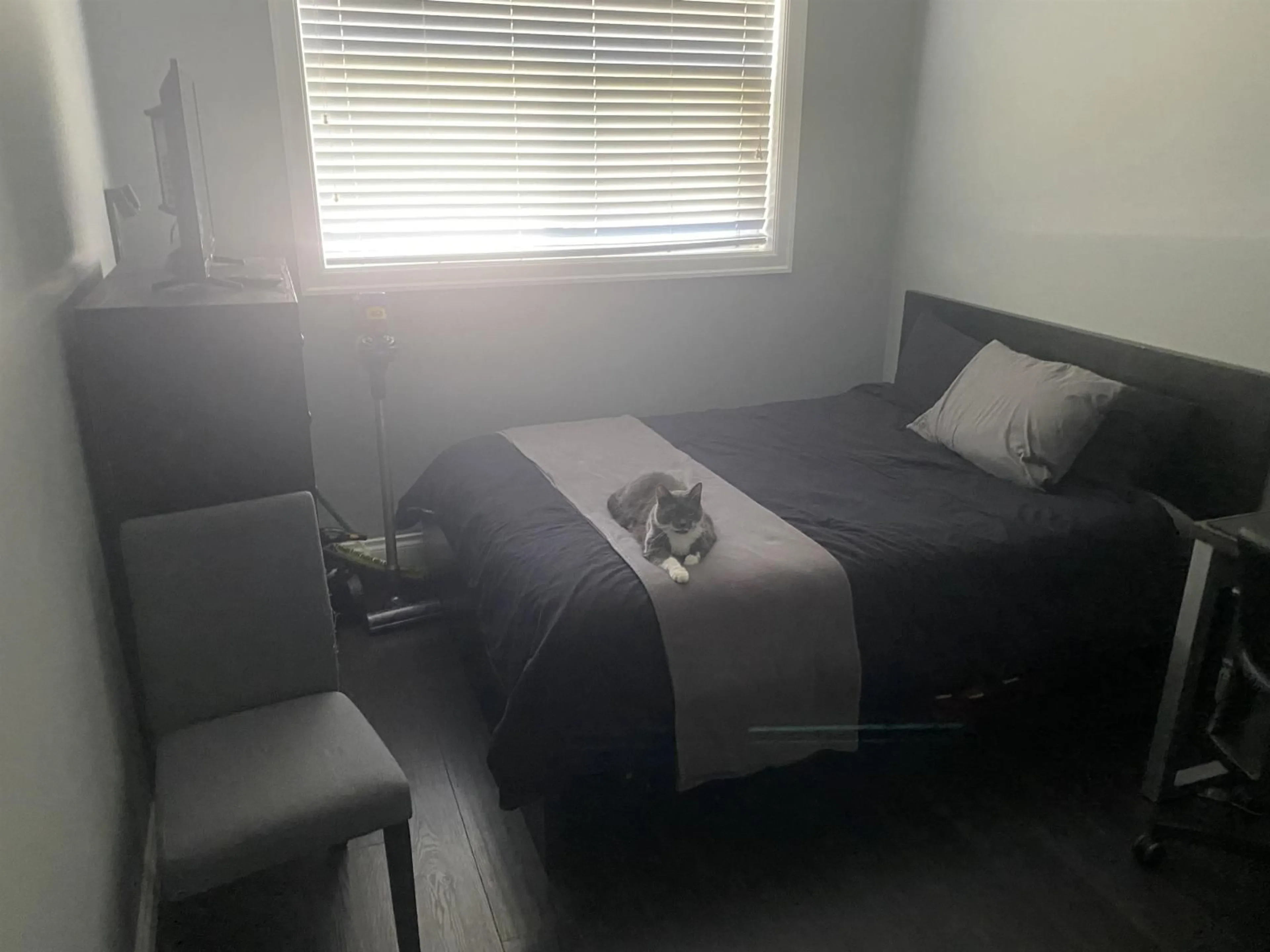 A pic of a room for 5737 264TH STREET, Langley British Columbia V4W1K7