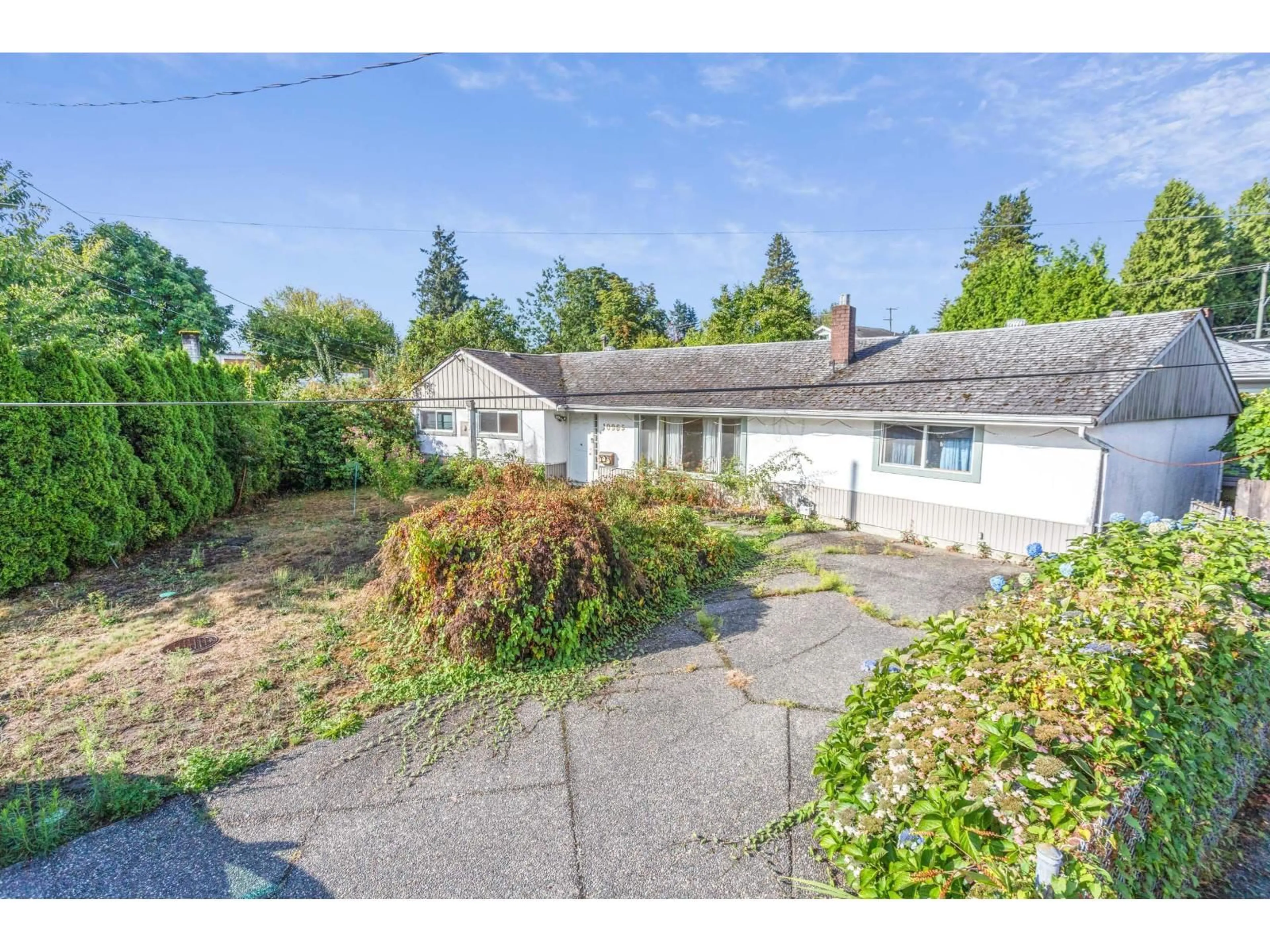 A pic from outside/outdoor area/front of a property/back of a property/a pic from drone, street for 10965 LARK PLACE, Surrey British Columbia V3R4W1