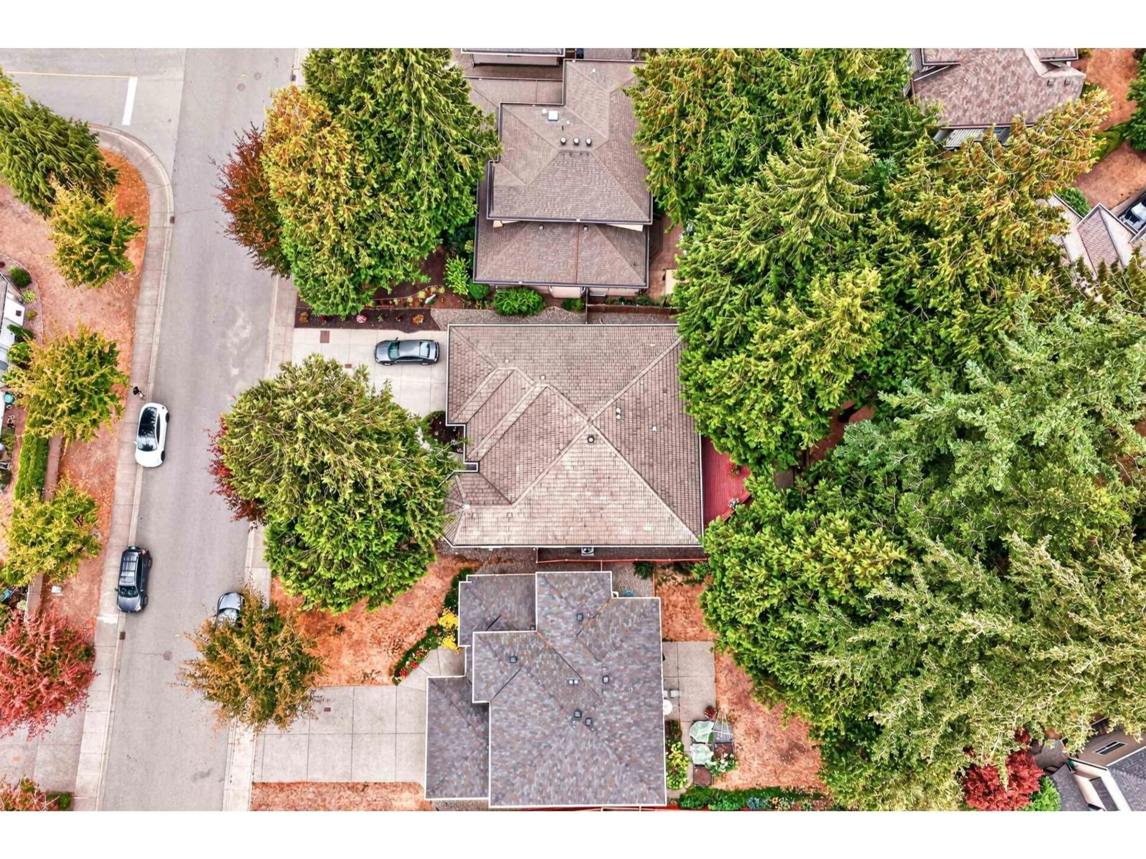 A pic from outside/outdoor area/front of a property/back of a property/a pic from drone, street for 4484 210A STREET, Langley British Columbia V3A8M2